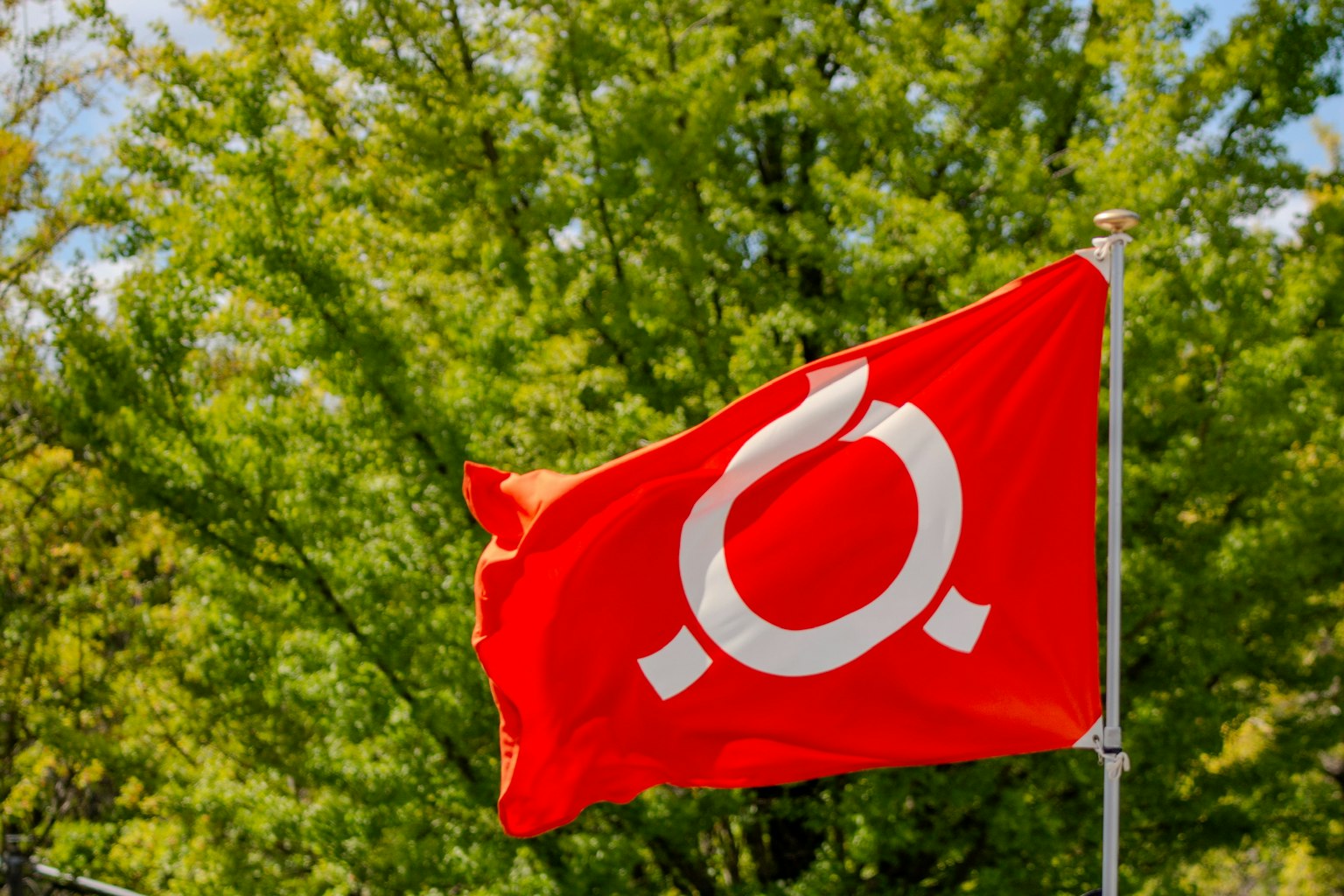 Red flag with a white symbol waving against a backdrop of green trees