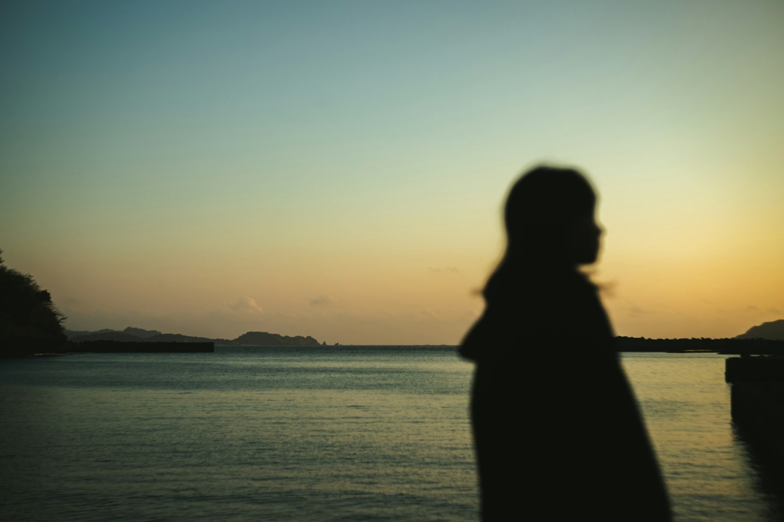海邊的身影與夕陽天空