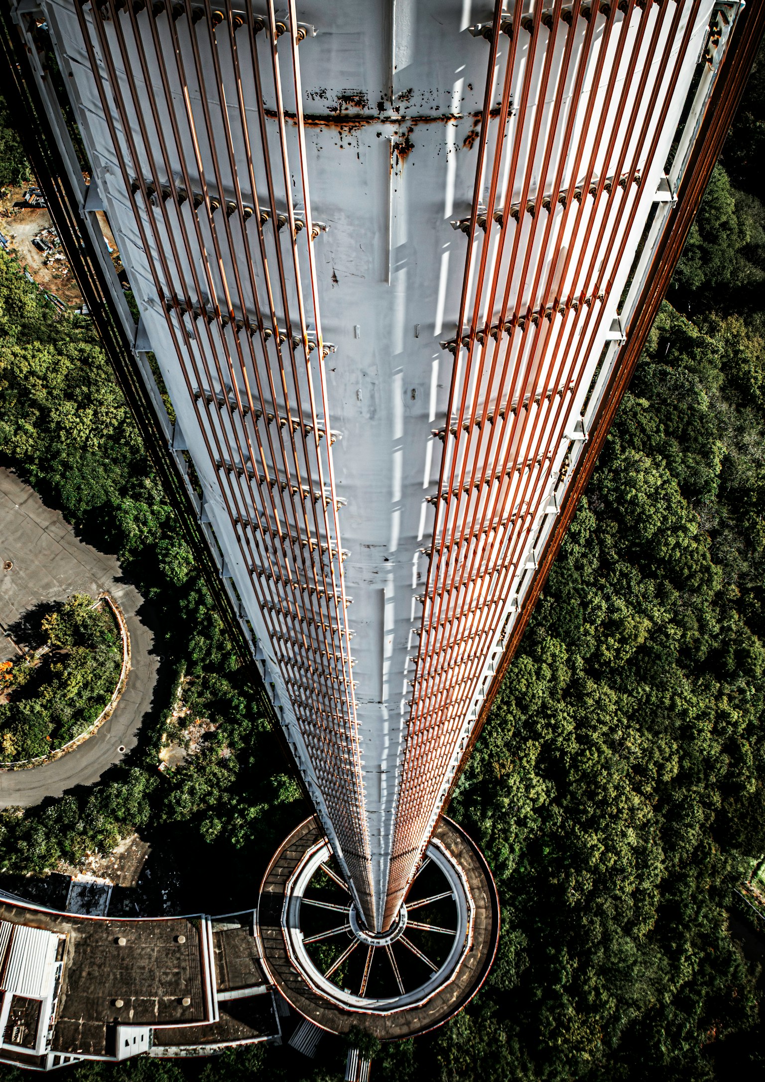 View from the top of a tall tower surrounded by green trees