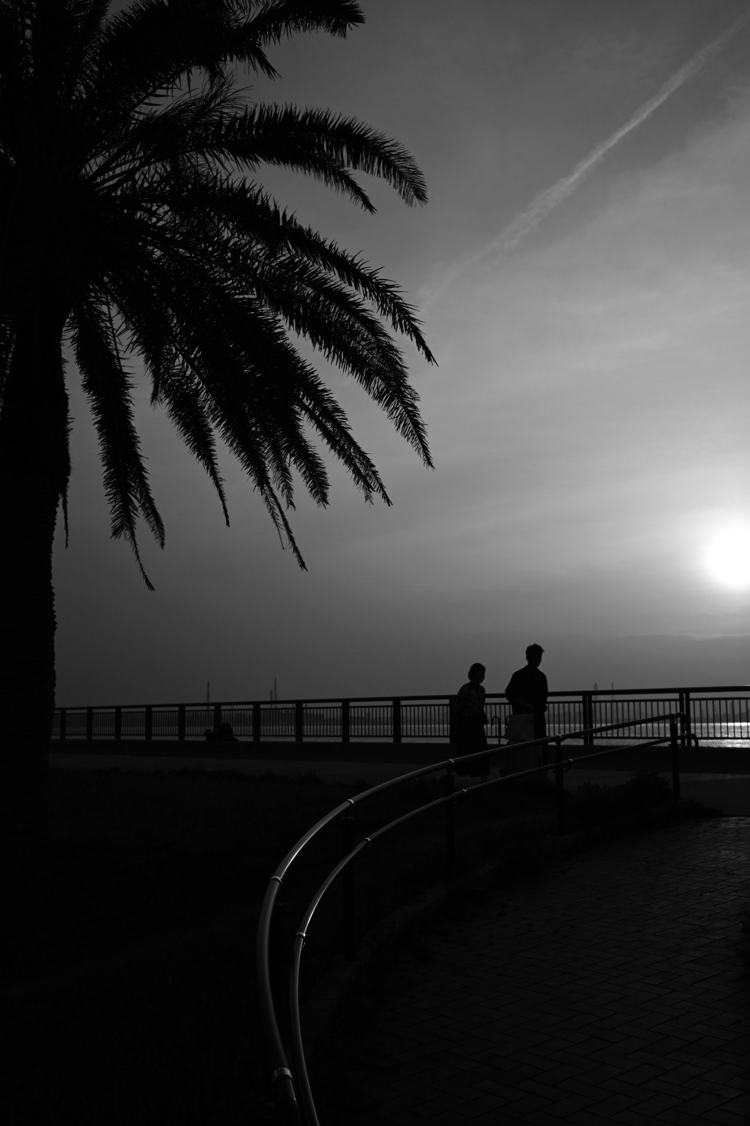 Silhouetten von zwei Personen, die entlang eines geschwungenen Weges mit einer Palme vor einem Sonnenuntergangshimmel stehen