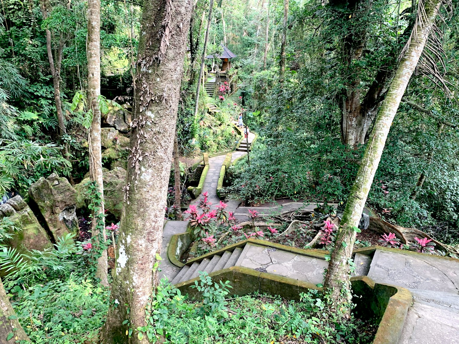 Scenic view of a winding path with stairs surrounded by lush greenery and flowers