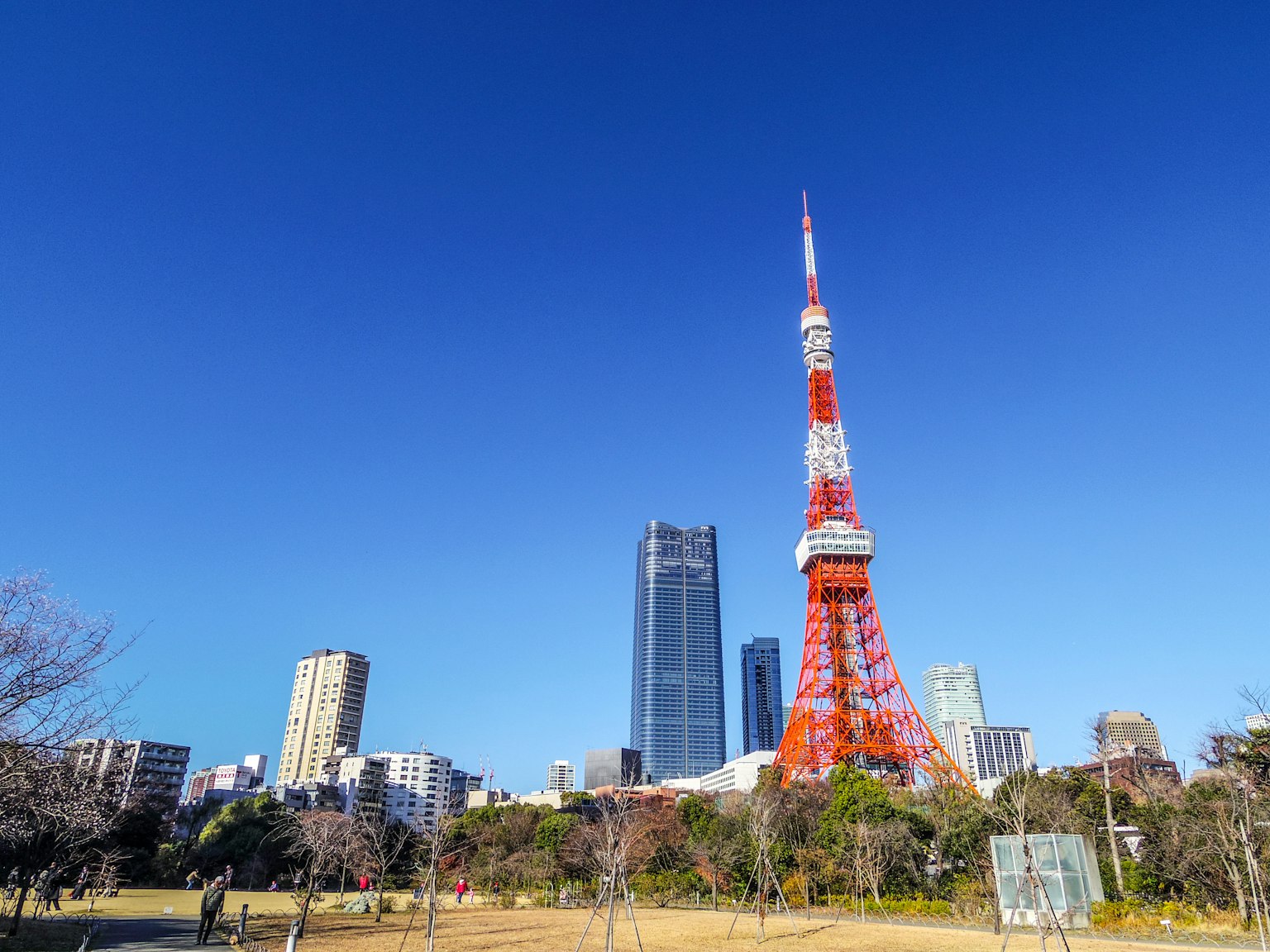 Torre de Tokio contra un cielo azul claro con rascacielos