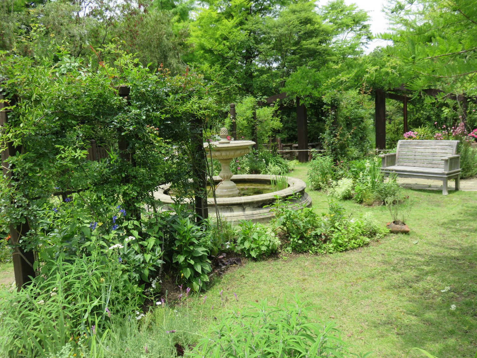Un beau jardin avec une fontaine et un banc entouré de verdure