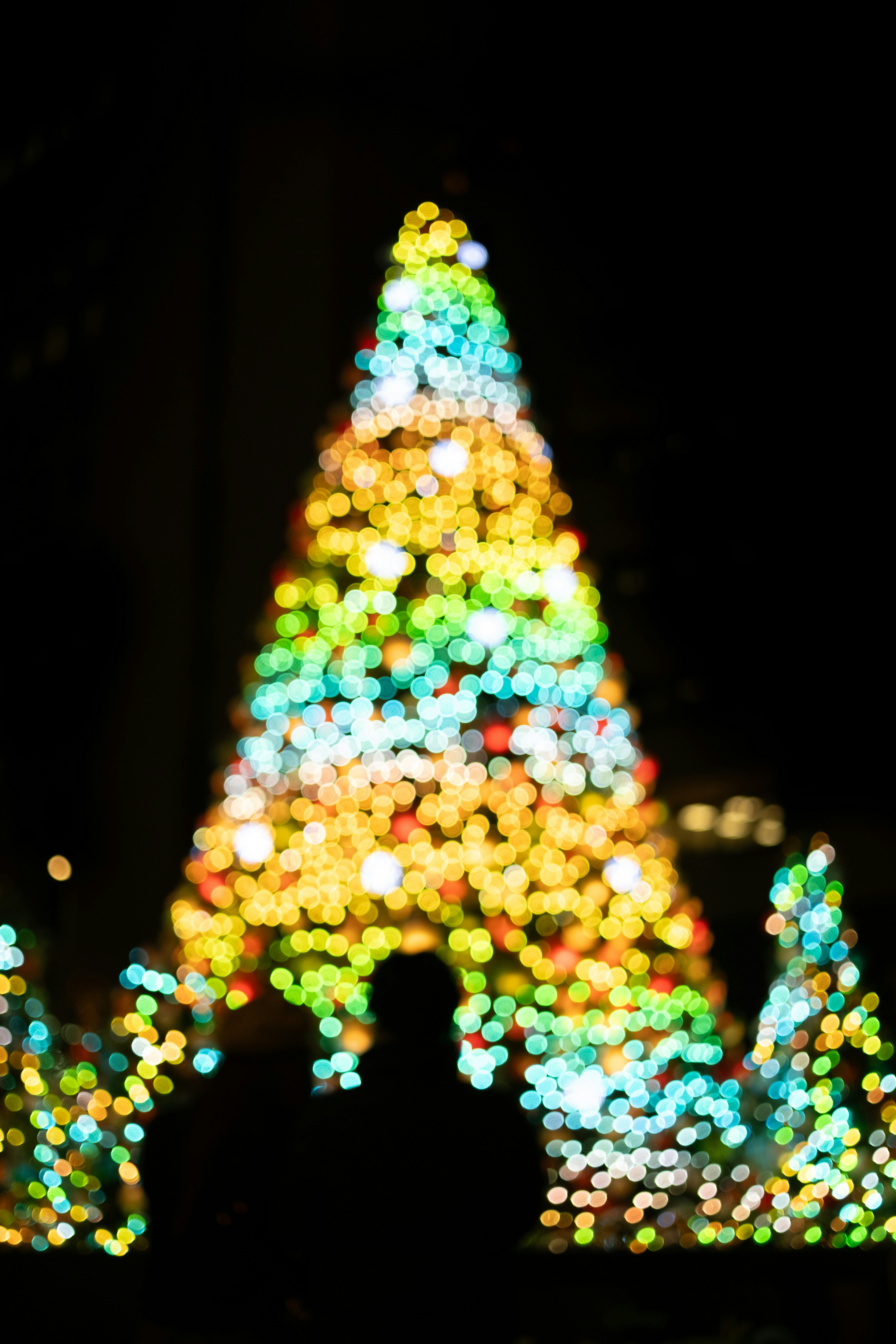 イルミネーションの光で彩られたクリスマスツリーの夜景