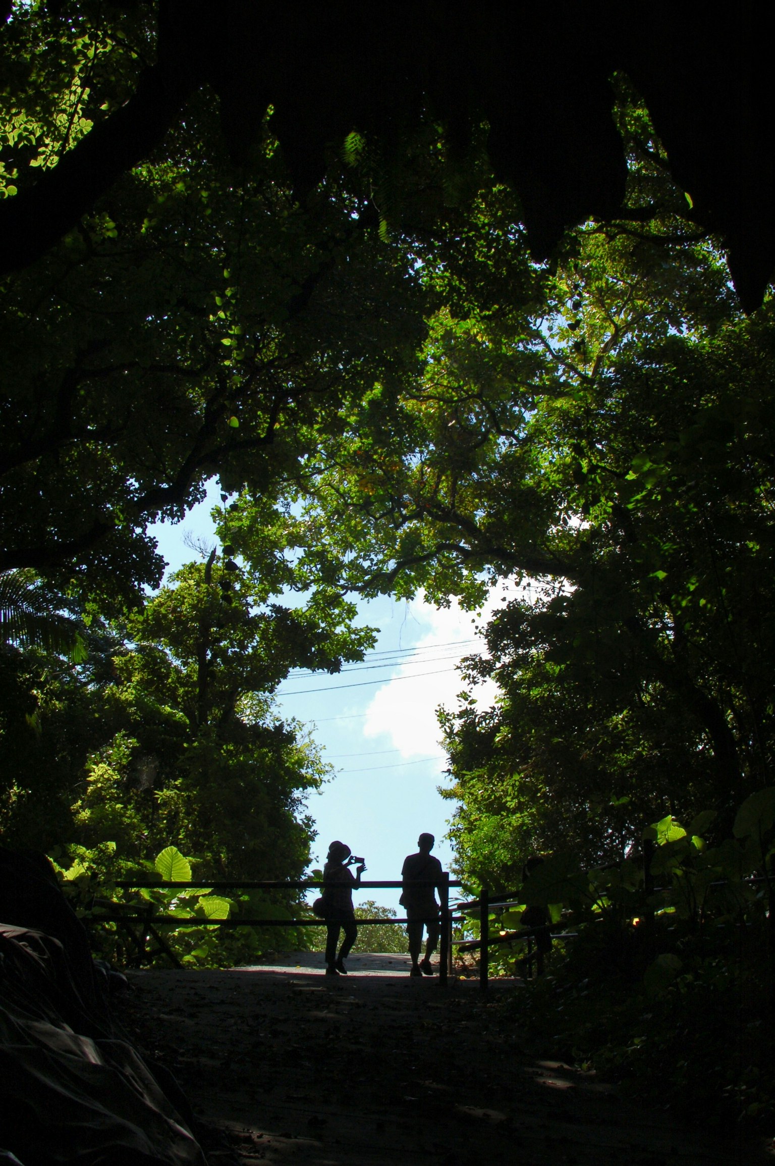 photo-moJYP4EOqhjwcDdVuszp-image