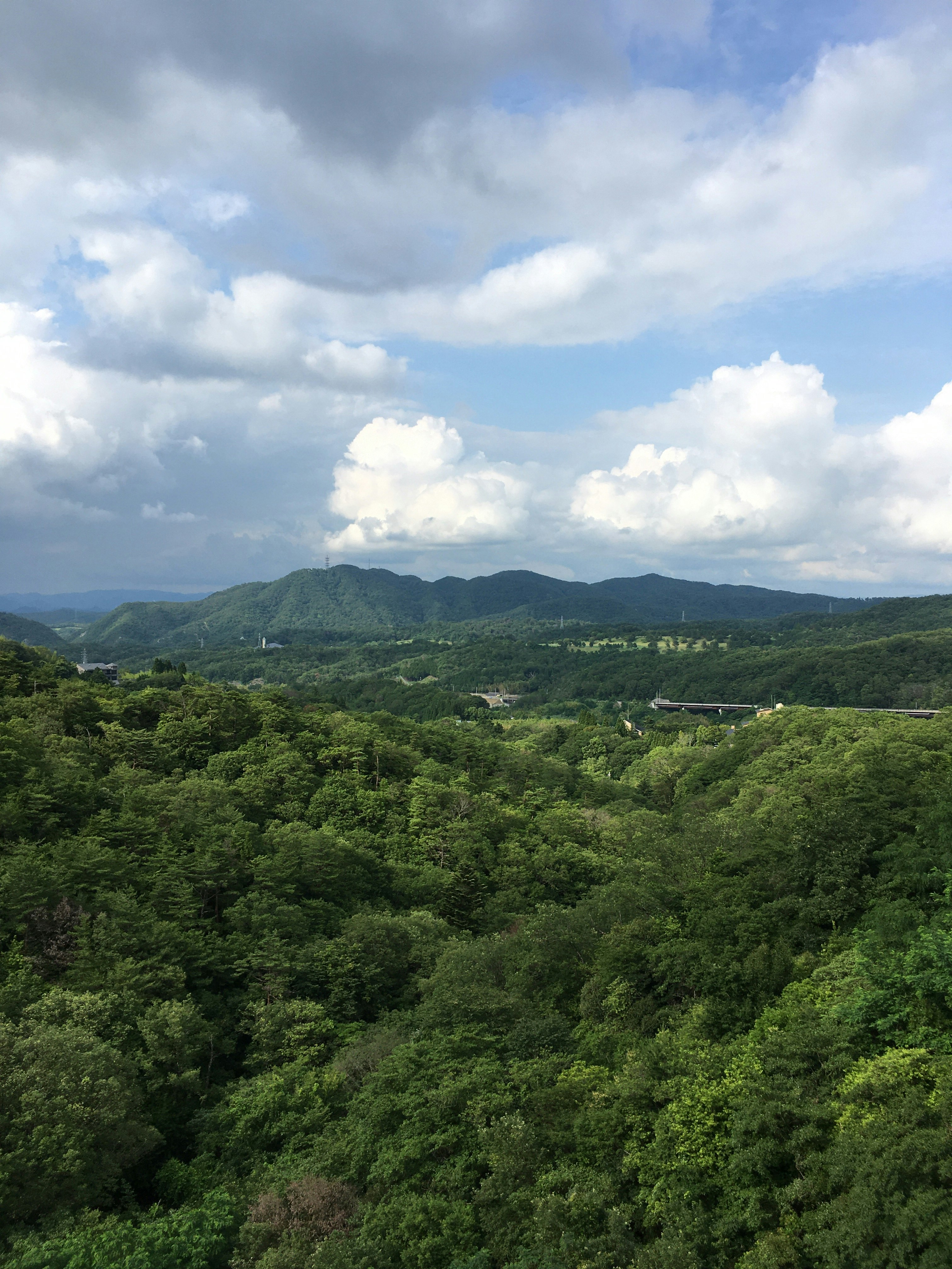 緑の山並みと森が広がる景色