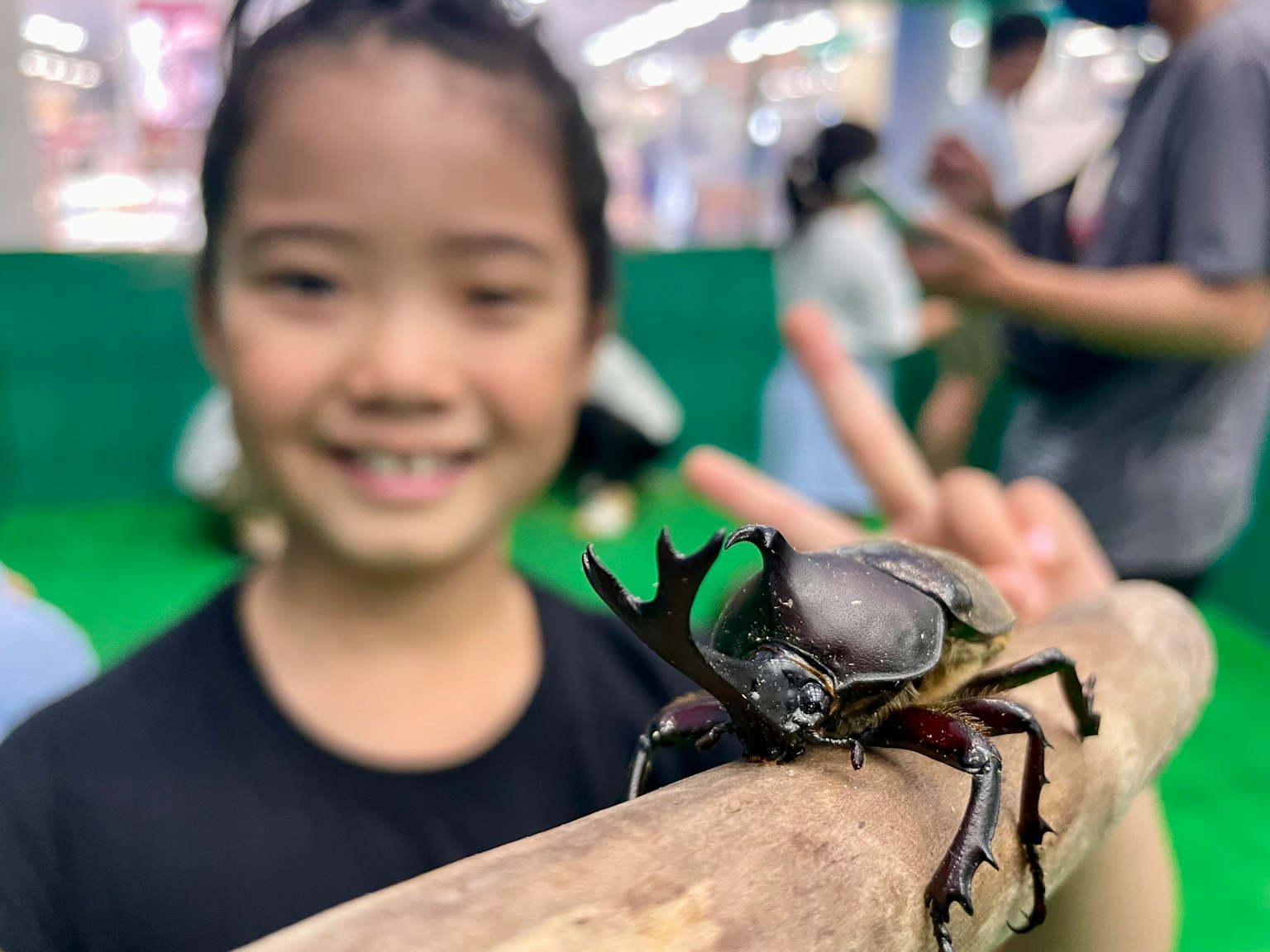 Một đứa trẻ cười và tạo dáng với một con bọ trên một cành cây