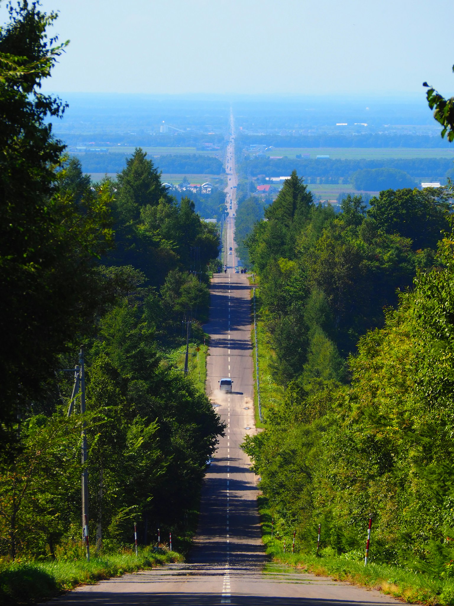 Une longue route droite bordée de verdure luxuriante s'étendant au loin