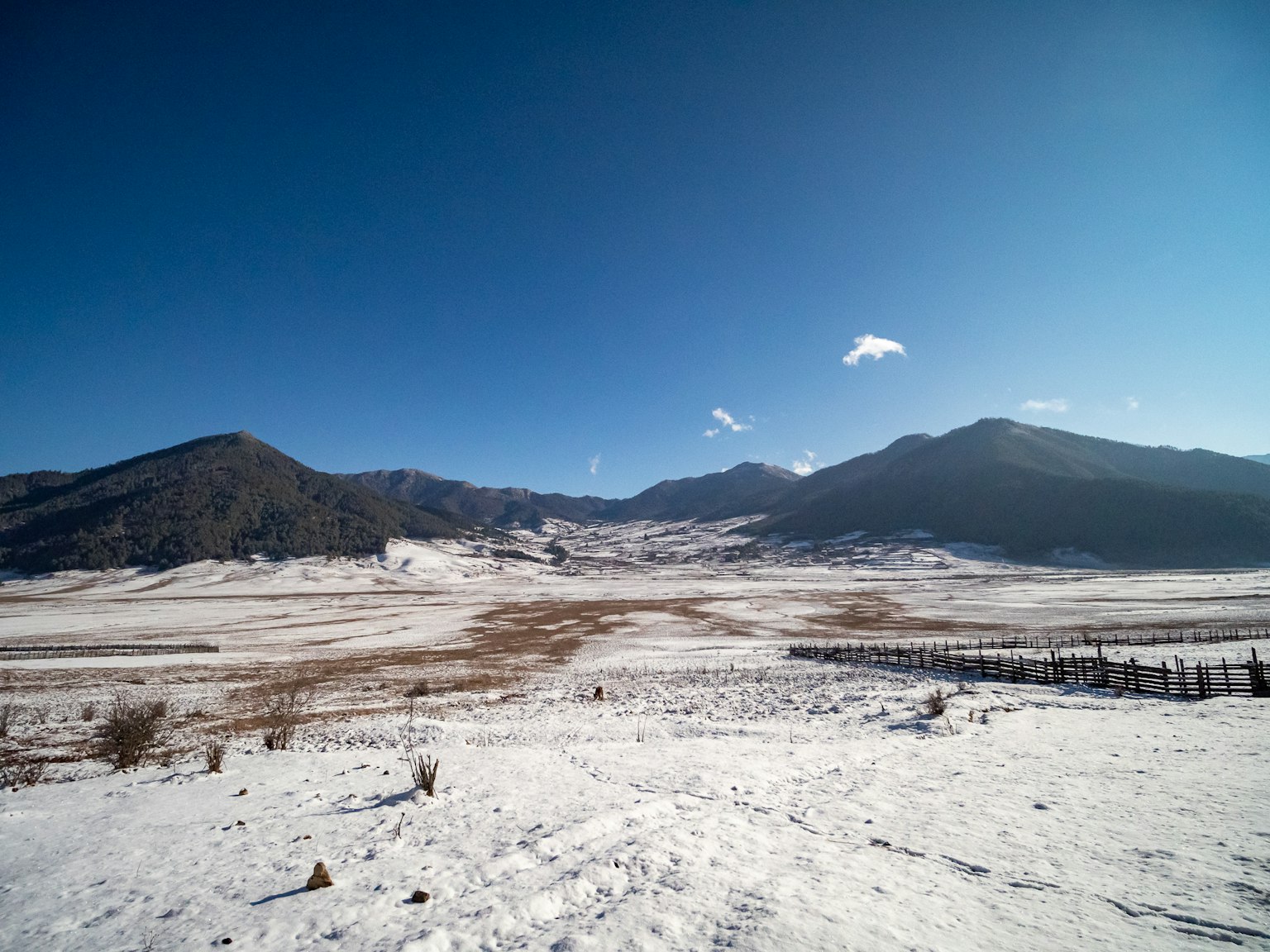 廣闊的雪地平原在晴朗的藍天下