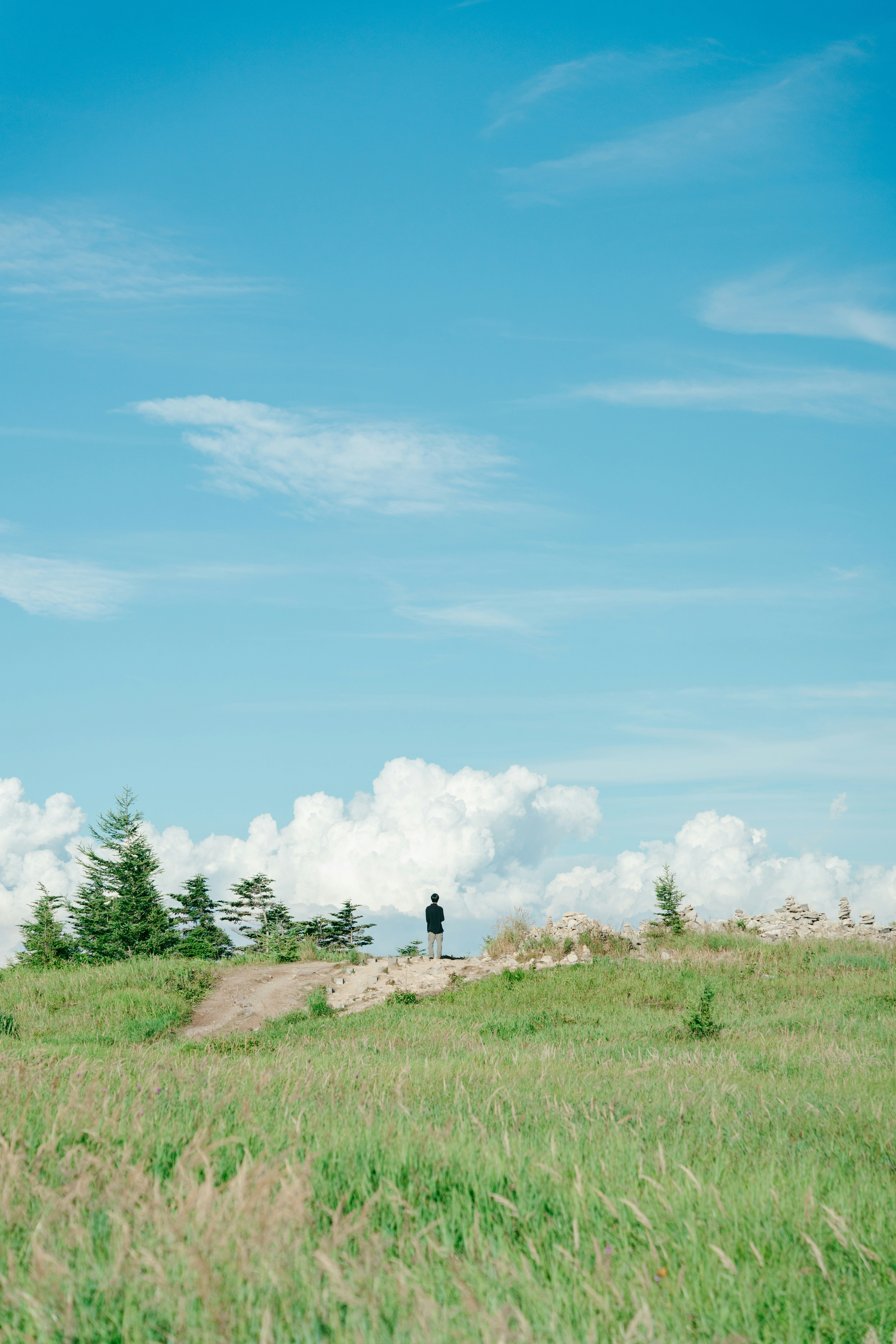 a person standing on a grassy hill under a blue sky
