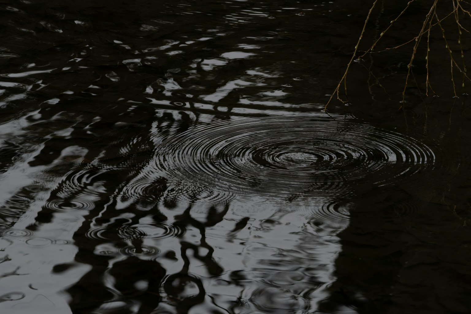 Immagine di acqua scura con increspature e riflessi sulla superficie