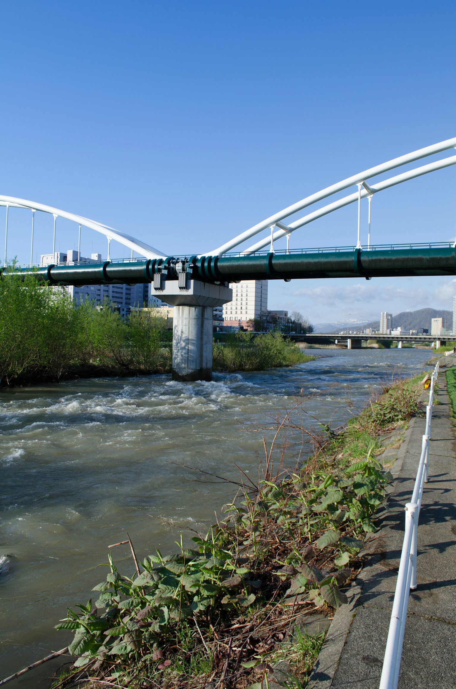 Scenic view of a river with a modern bridge clear blue sky and lush greenery