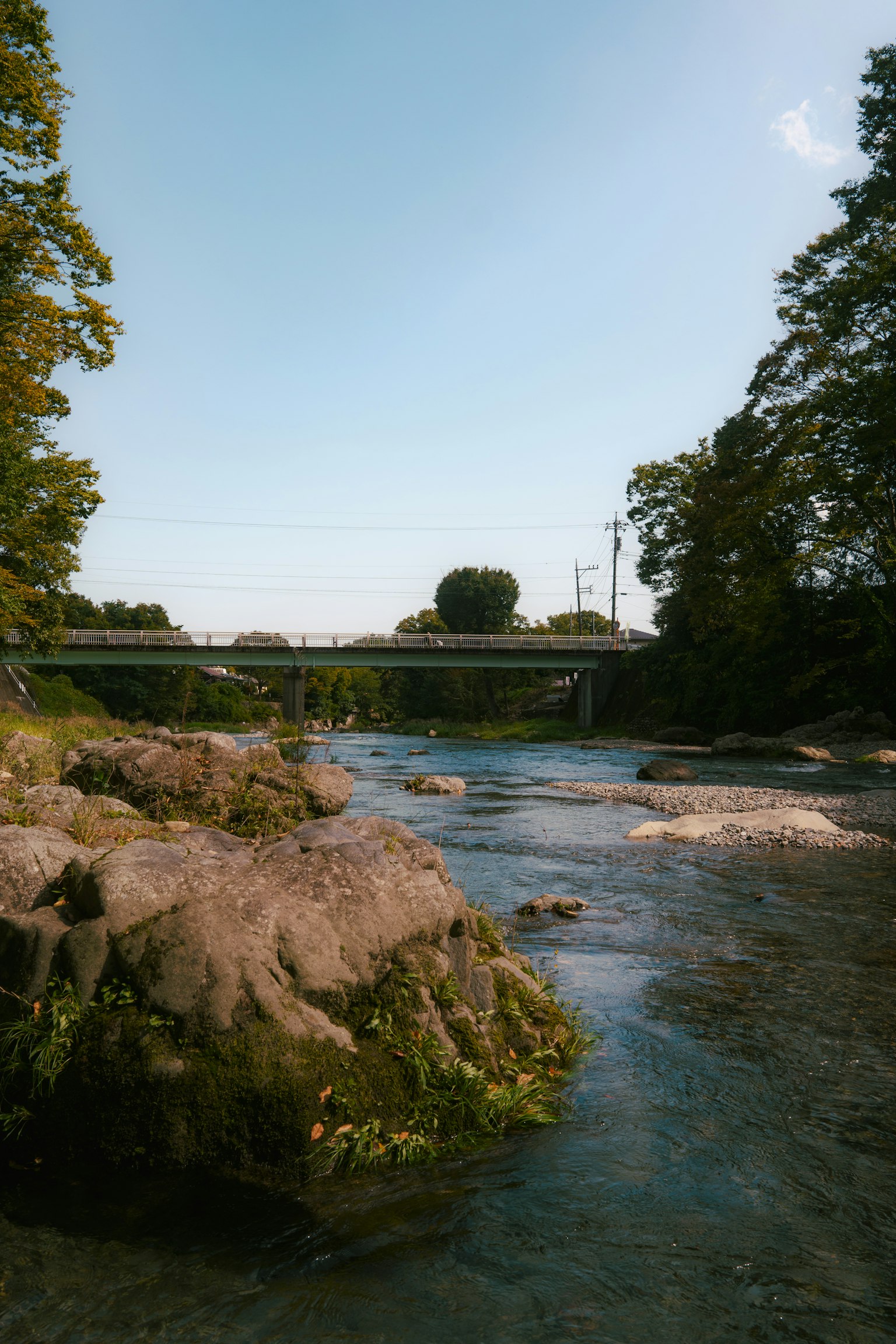 Paisaje de río sereno con árboles verdes y rocas visibles puente a lo lejos