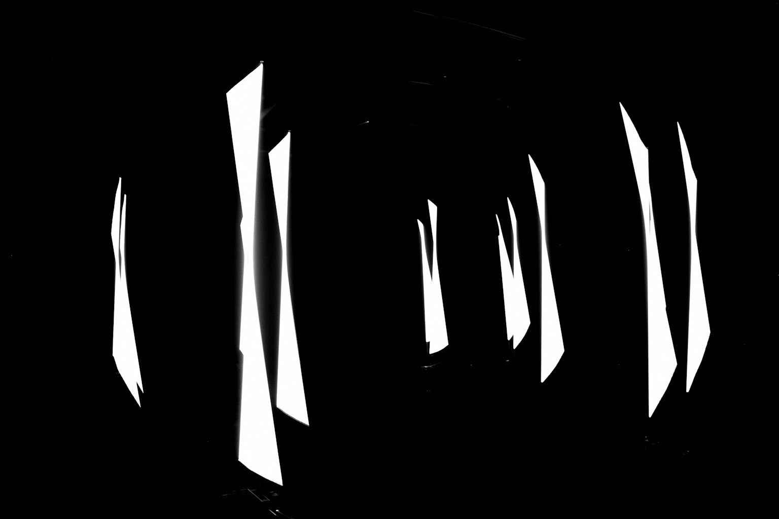 黑色背景上浮現出白色細長形狀的抽象圖像