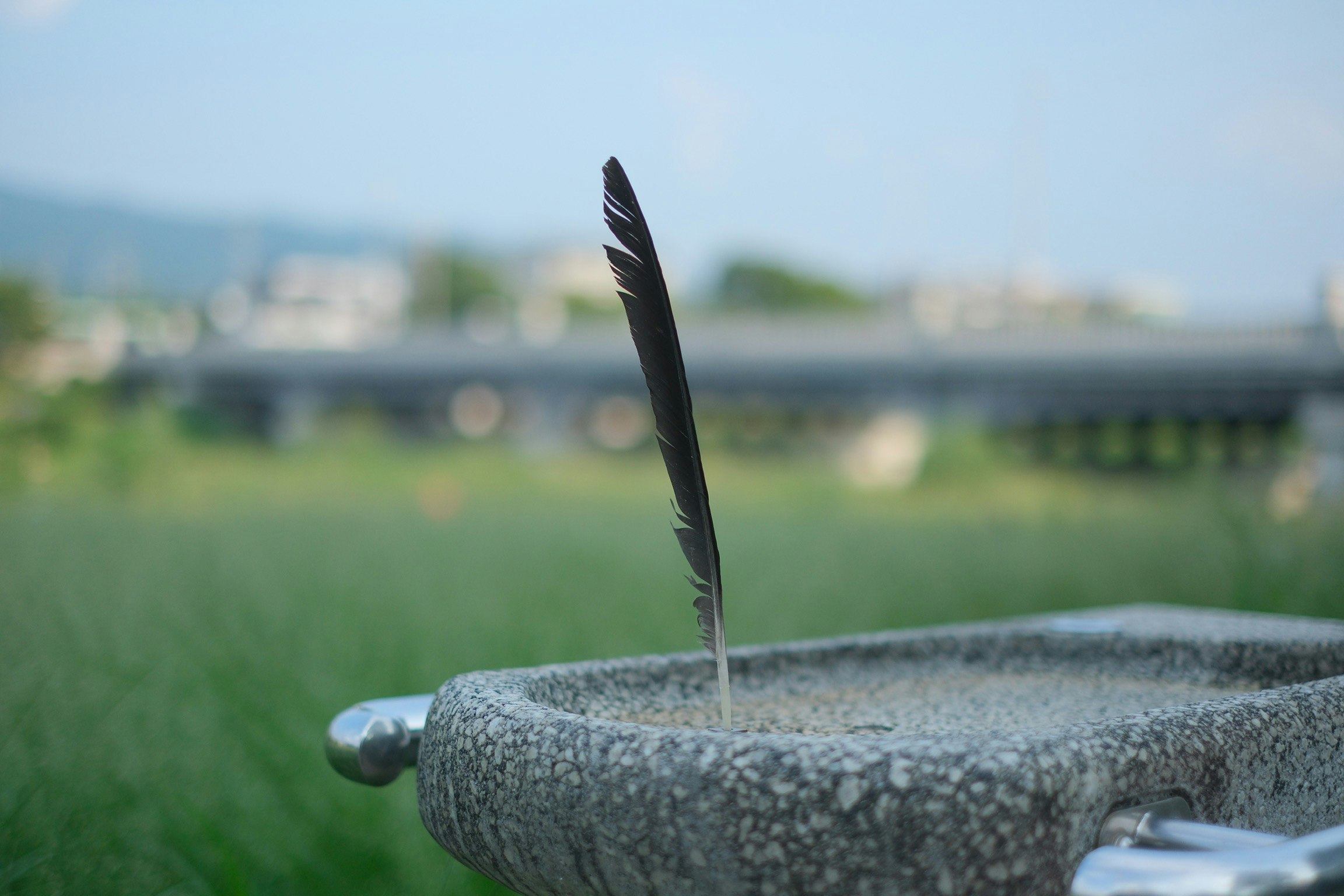 草原を背景にした羽根のペン先のアップ