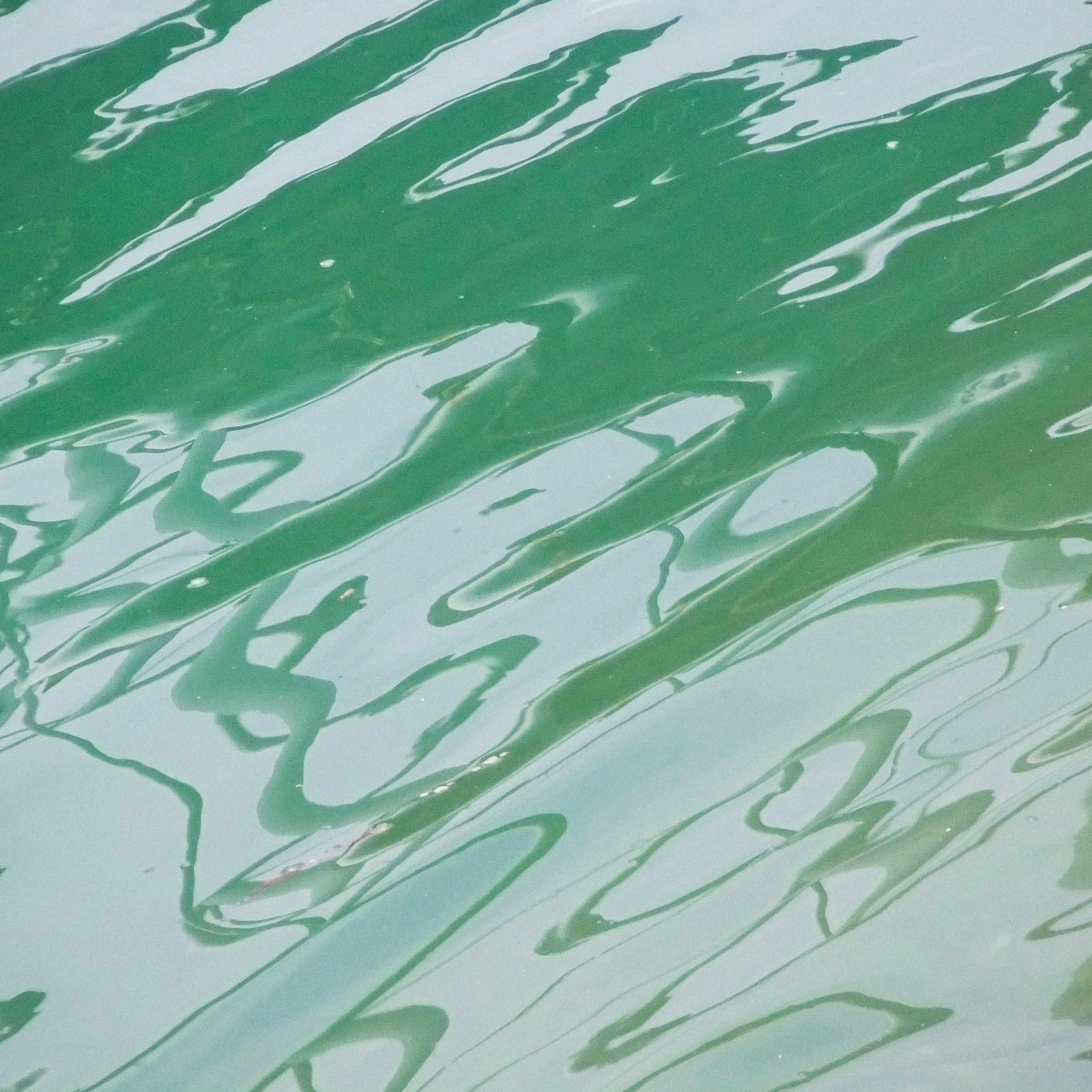 close-up of a green-and-white rippling water surface