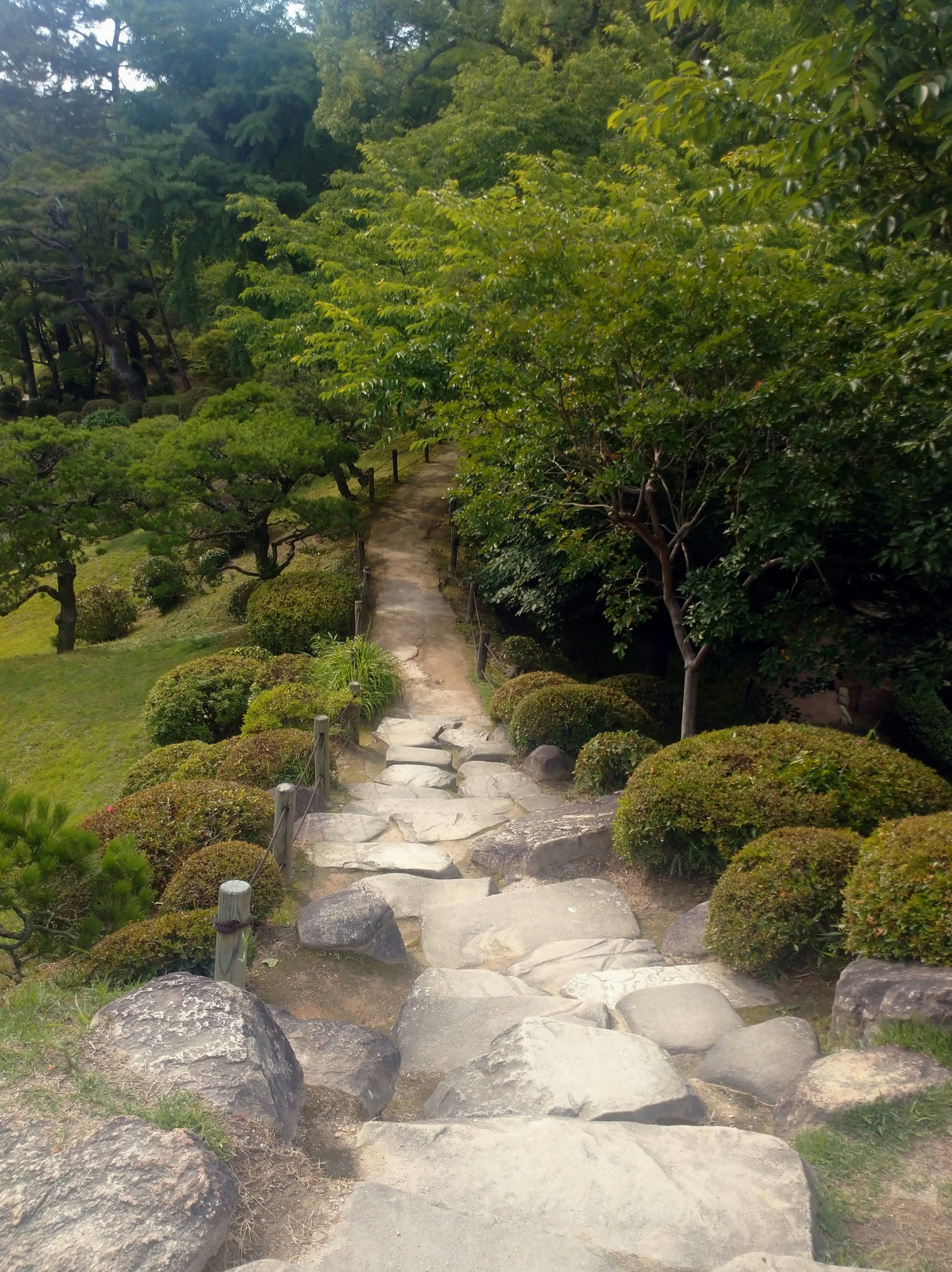 緑の庭園に続く石畳の小径
