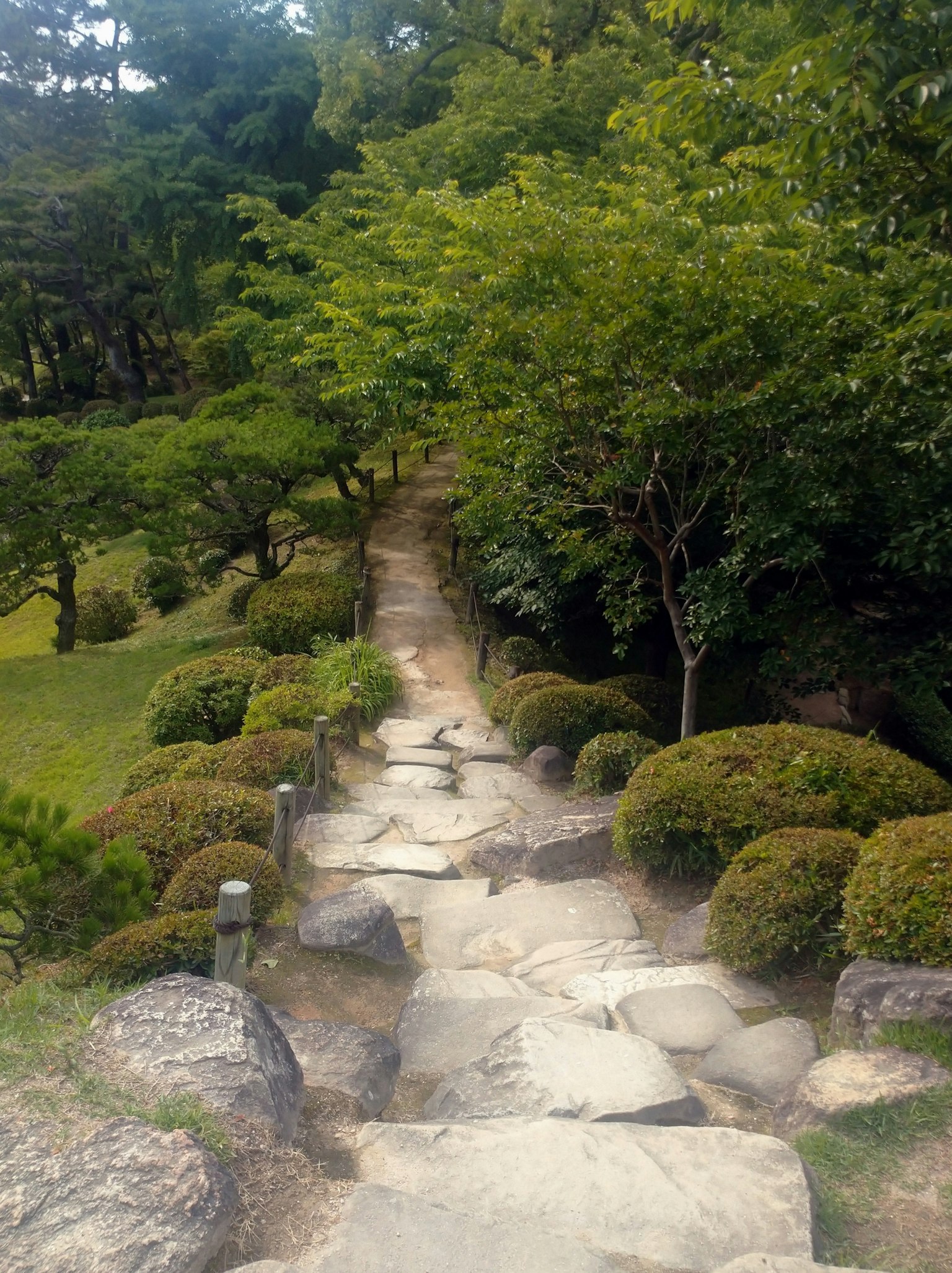 一條蜿蜒穿過郁郁蔥蔥花園的石頭小路