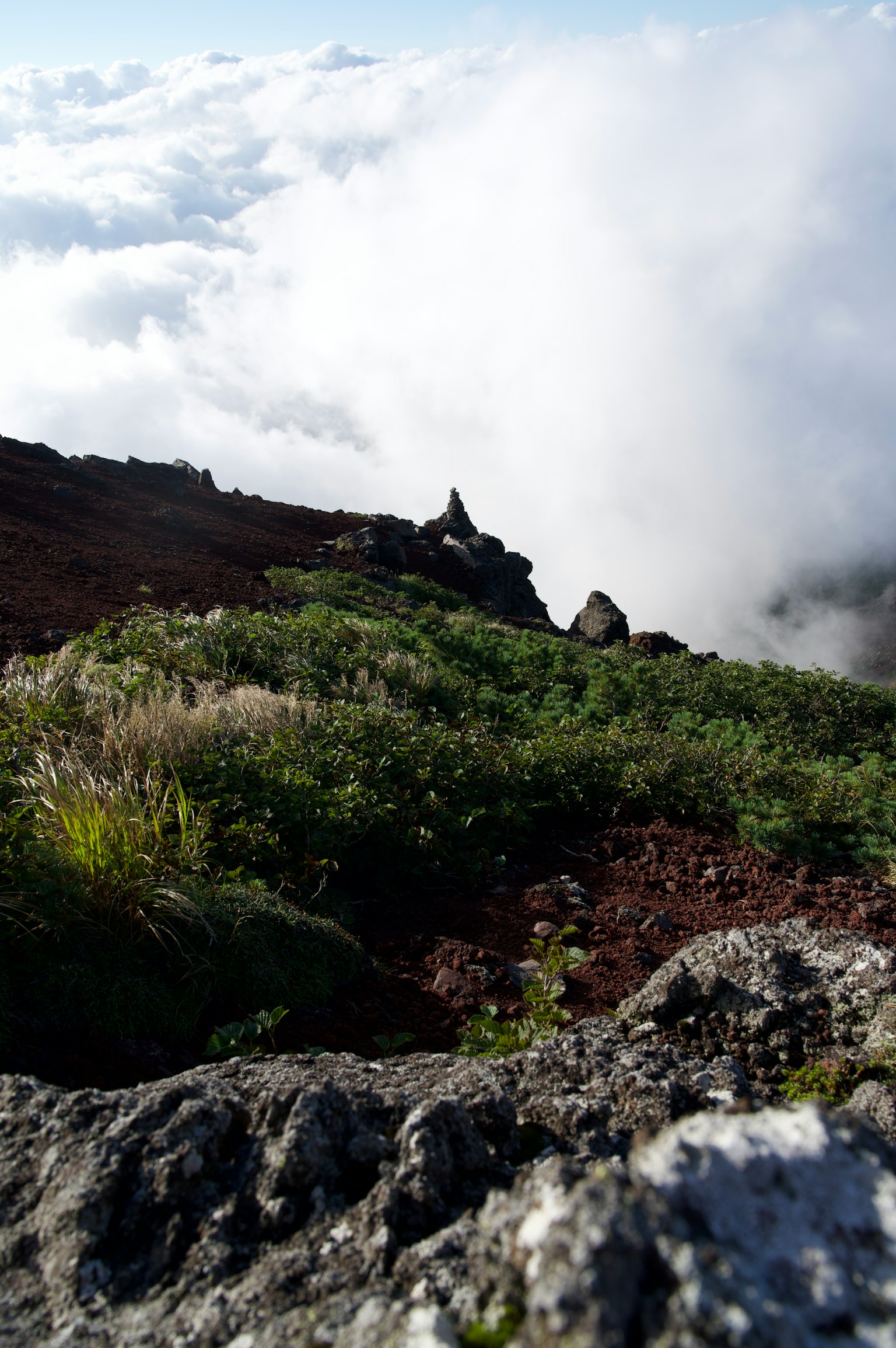Vue panoramique depuis un sommet de montagne avec une mer de nuages et une végétation luxuriante