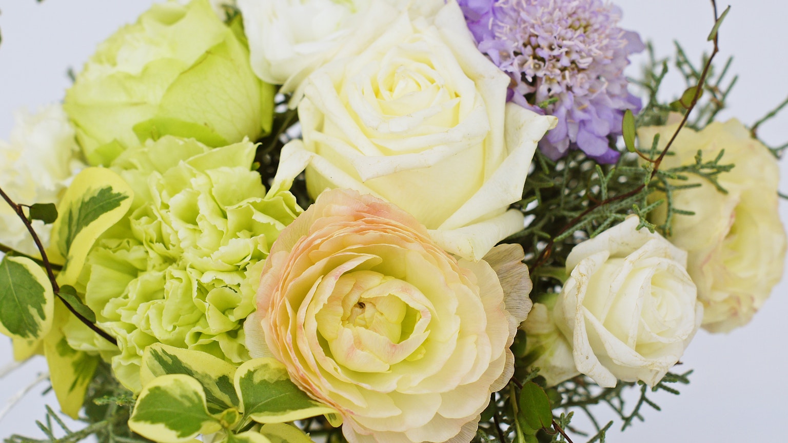 Buket mawar pucat dan ranunculus