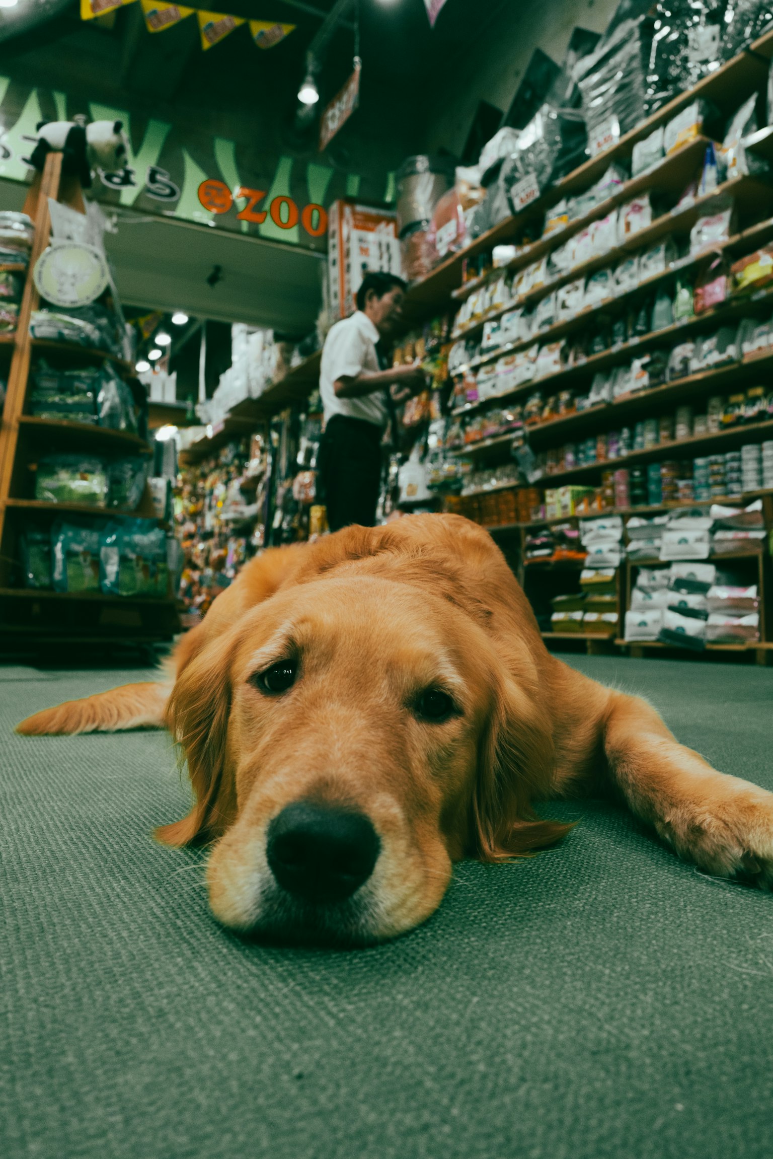 photo-msMCeIYXTdeW0qiuKbCH-image