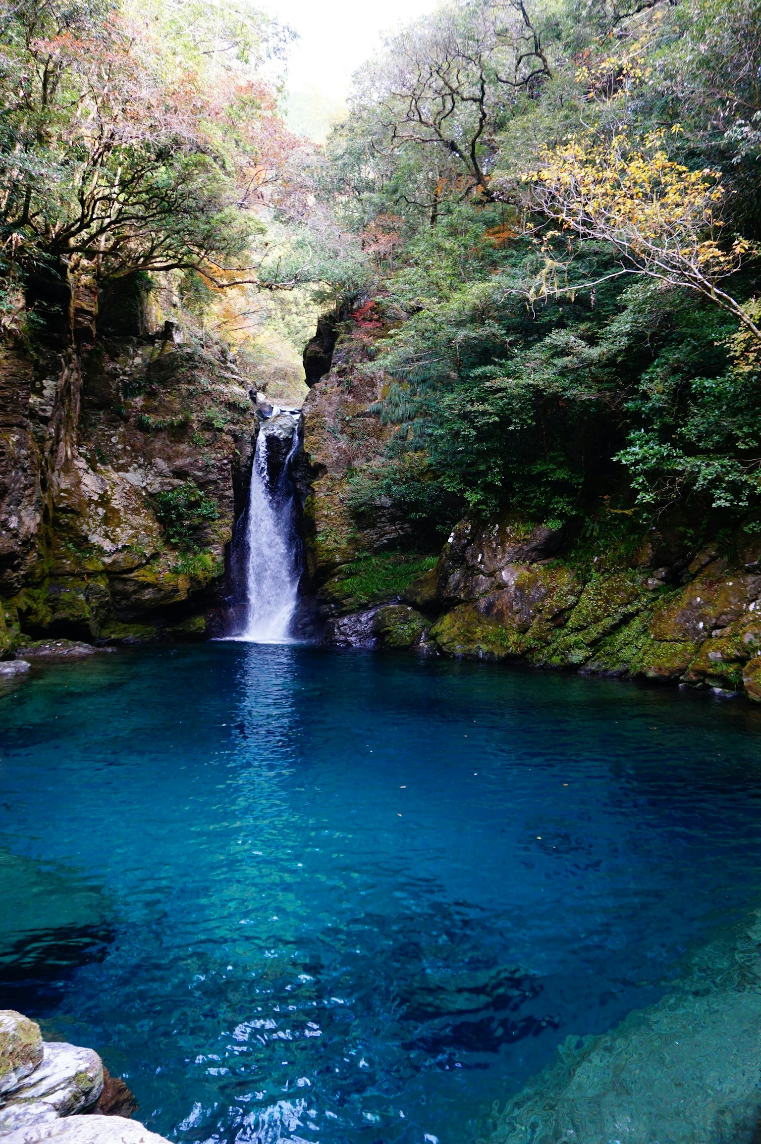 Scenic view of a waterfall surrounded by lush greenery and a deep blue pool