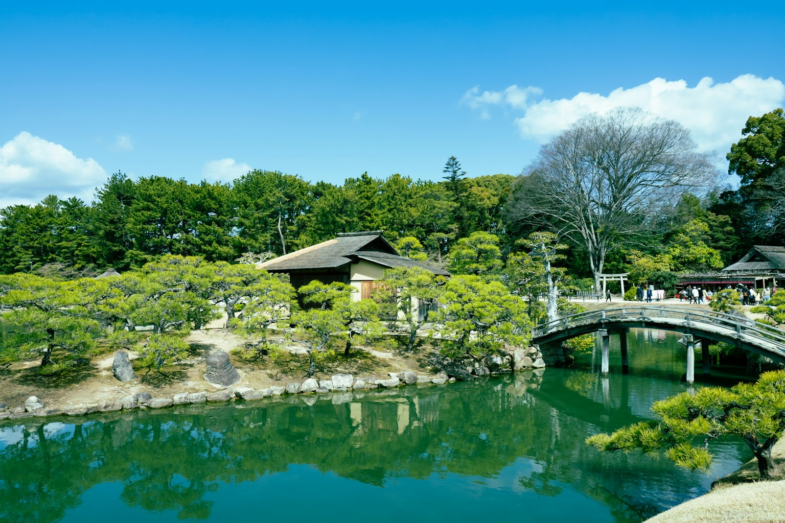 繁茂的花園有一個池塘 木橋和傳統建築