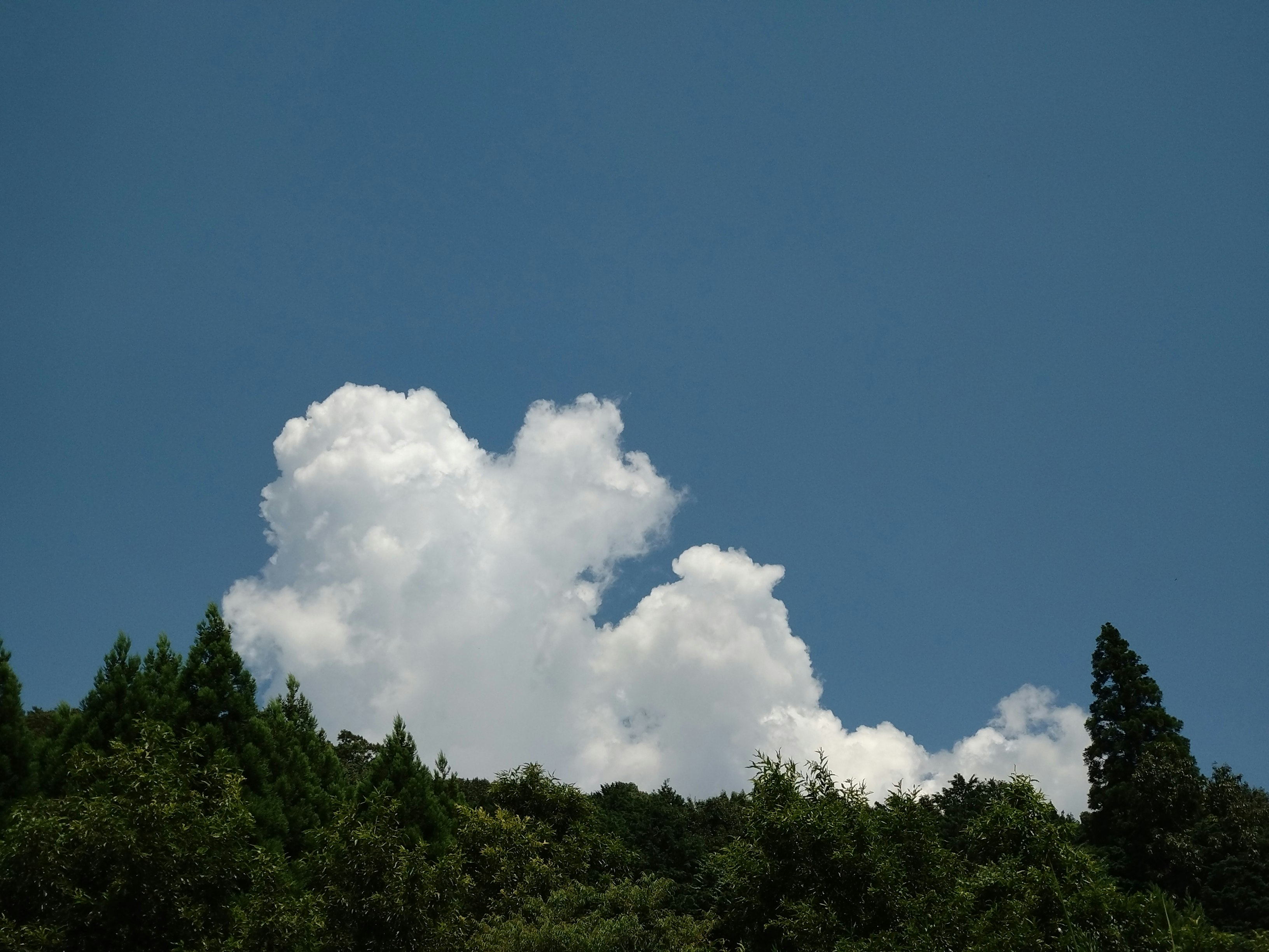 青空に浮かぶ積乱雲と入道雲のある里山の風景