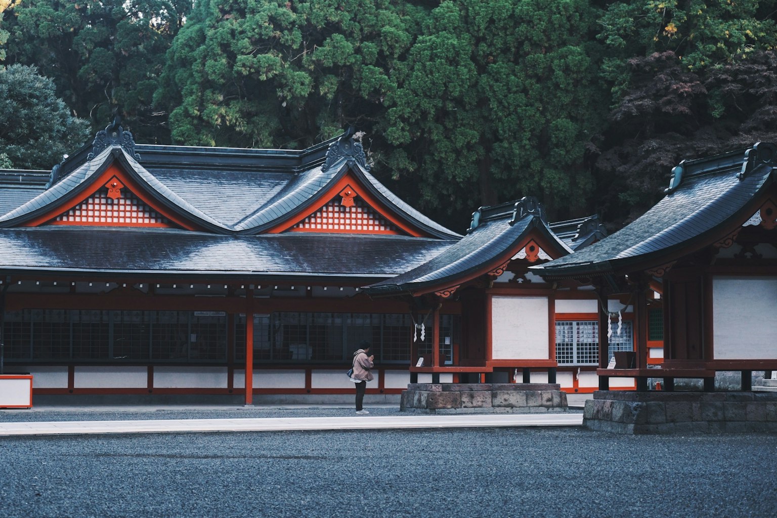 传统日本神社建筑的优美景观，屋顶设计独特
