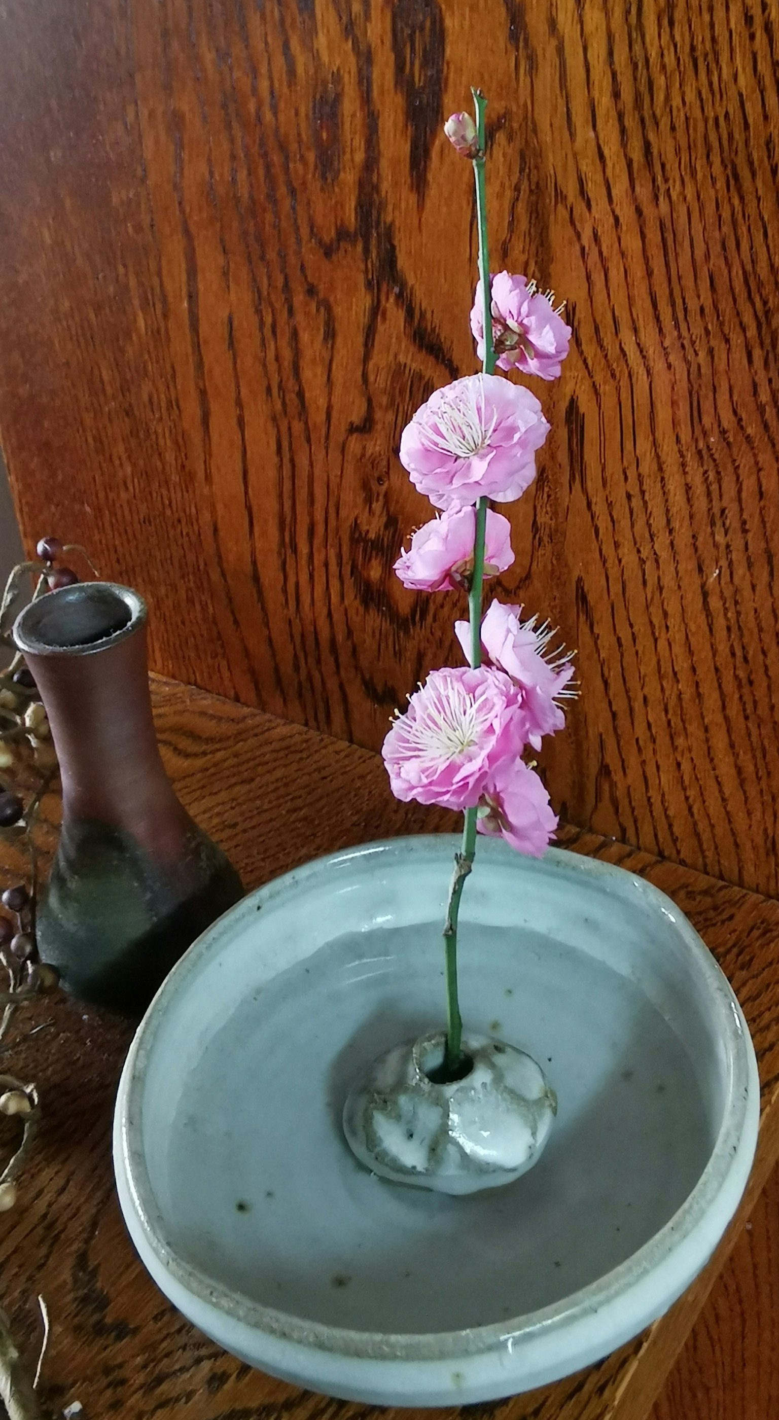 Un semplice arrangiamento con un singolo fiore rosa a stelo sottile in un vaso di ceramica grigia