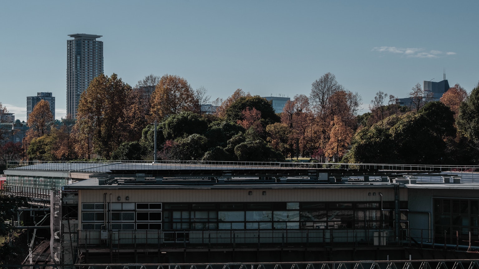 Modern building surrounded by autumn foliage under a clear blue sky