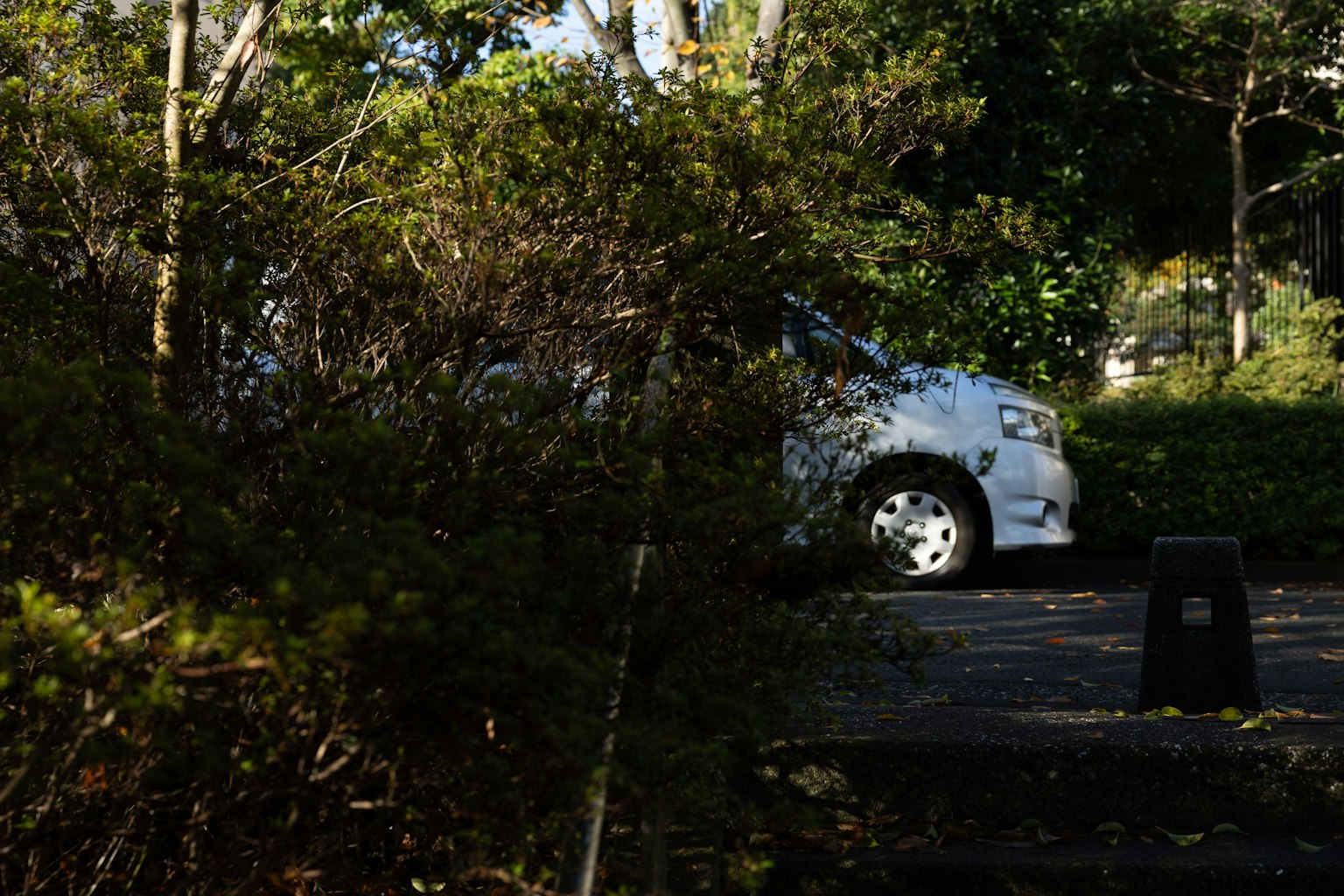 Un coche blanco parcialmente visible en un área de estacionamiento tranquila rodeada de plantas verdes