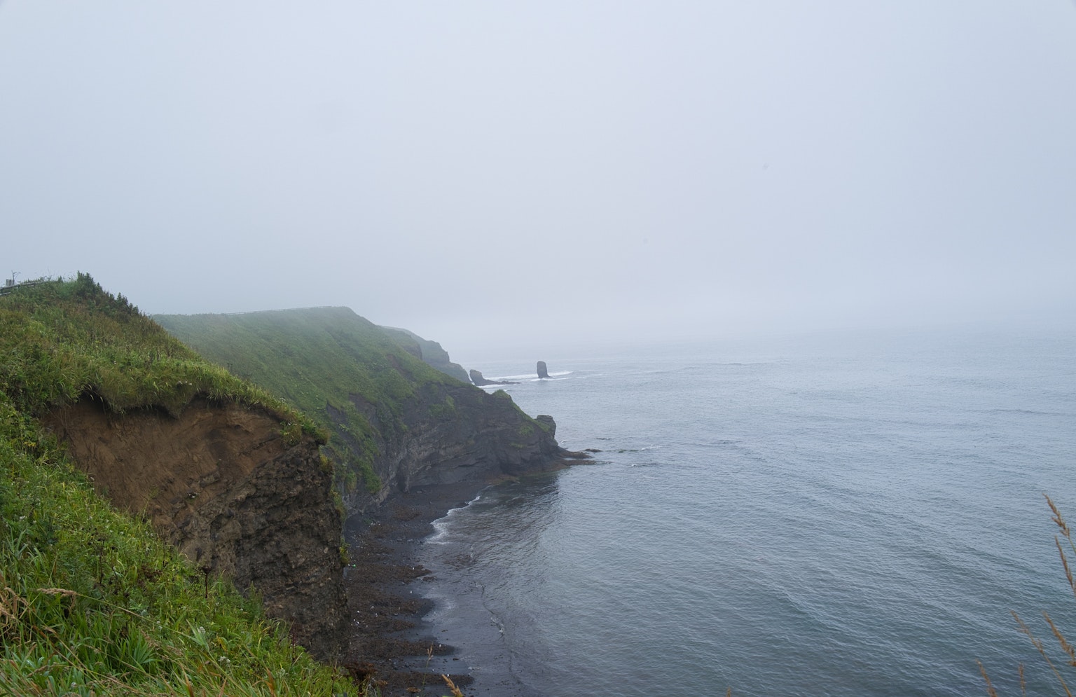 霧氣籠罩的海岸線景觀，綠色草地和寧靜海洋
