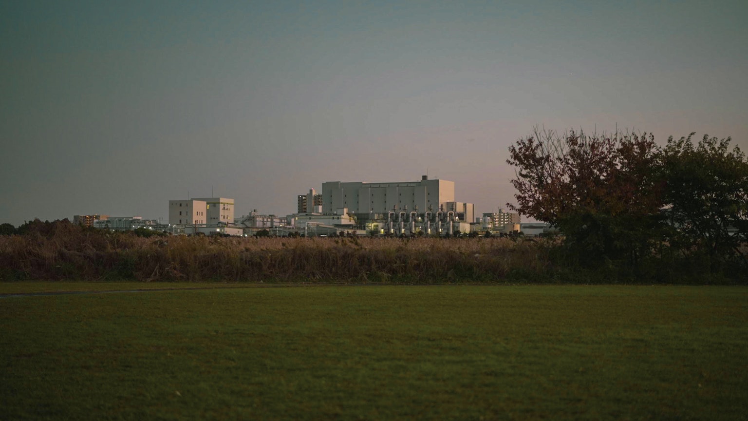 Vista di edifici industriali con vegetazione in primo piano