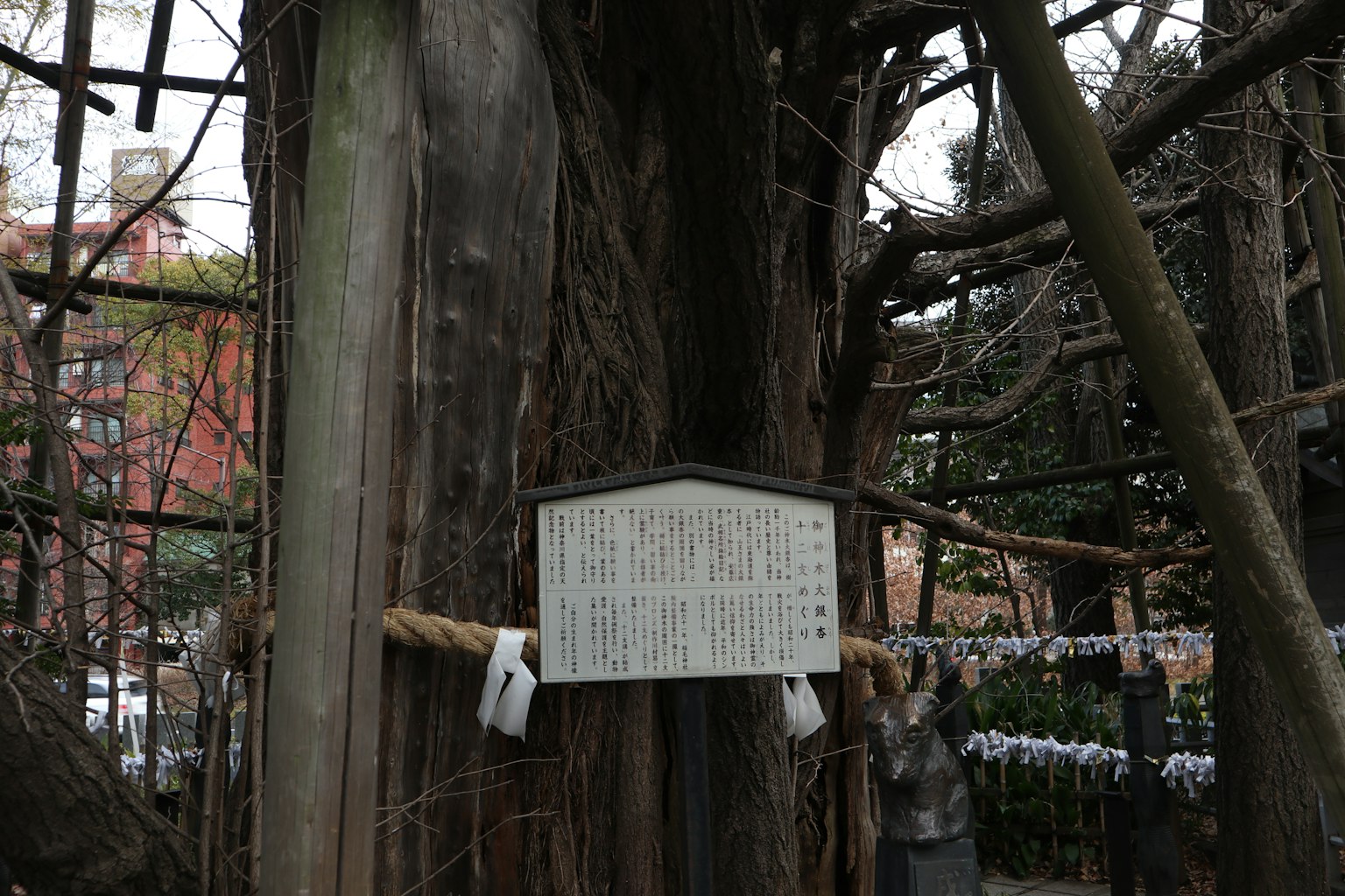 一幅展示古老樹木和標誌的風景細枝和樹周圍的簽文