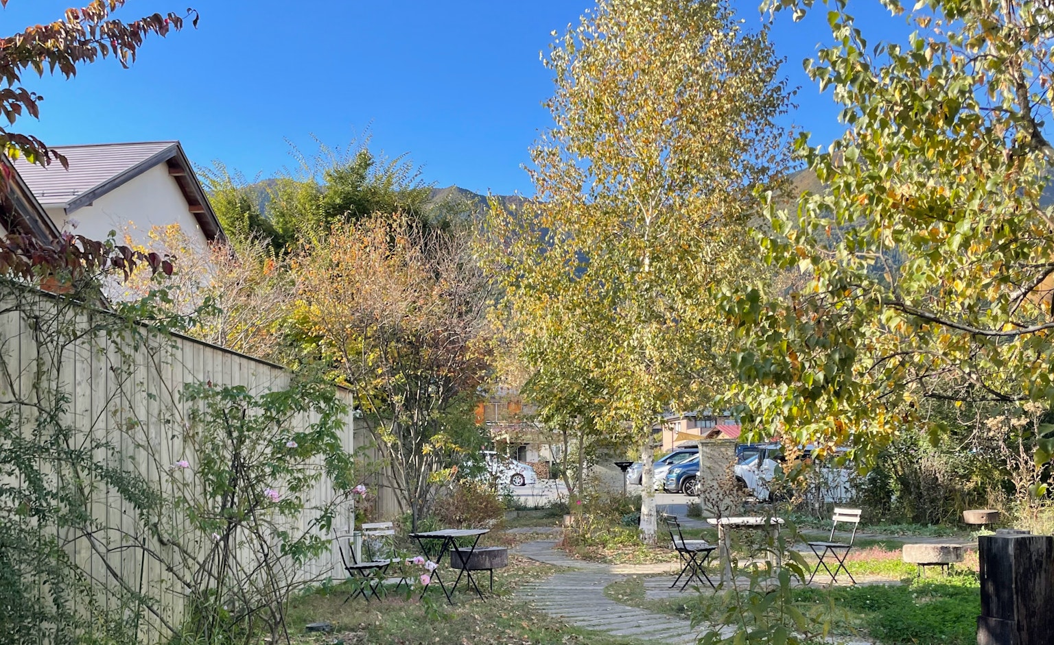 蓝天下树木和房屋的风景，自然中的小路展示秋天的树叶
