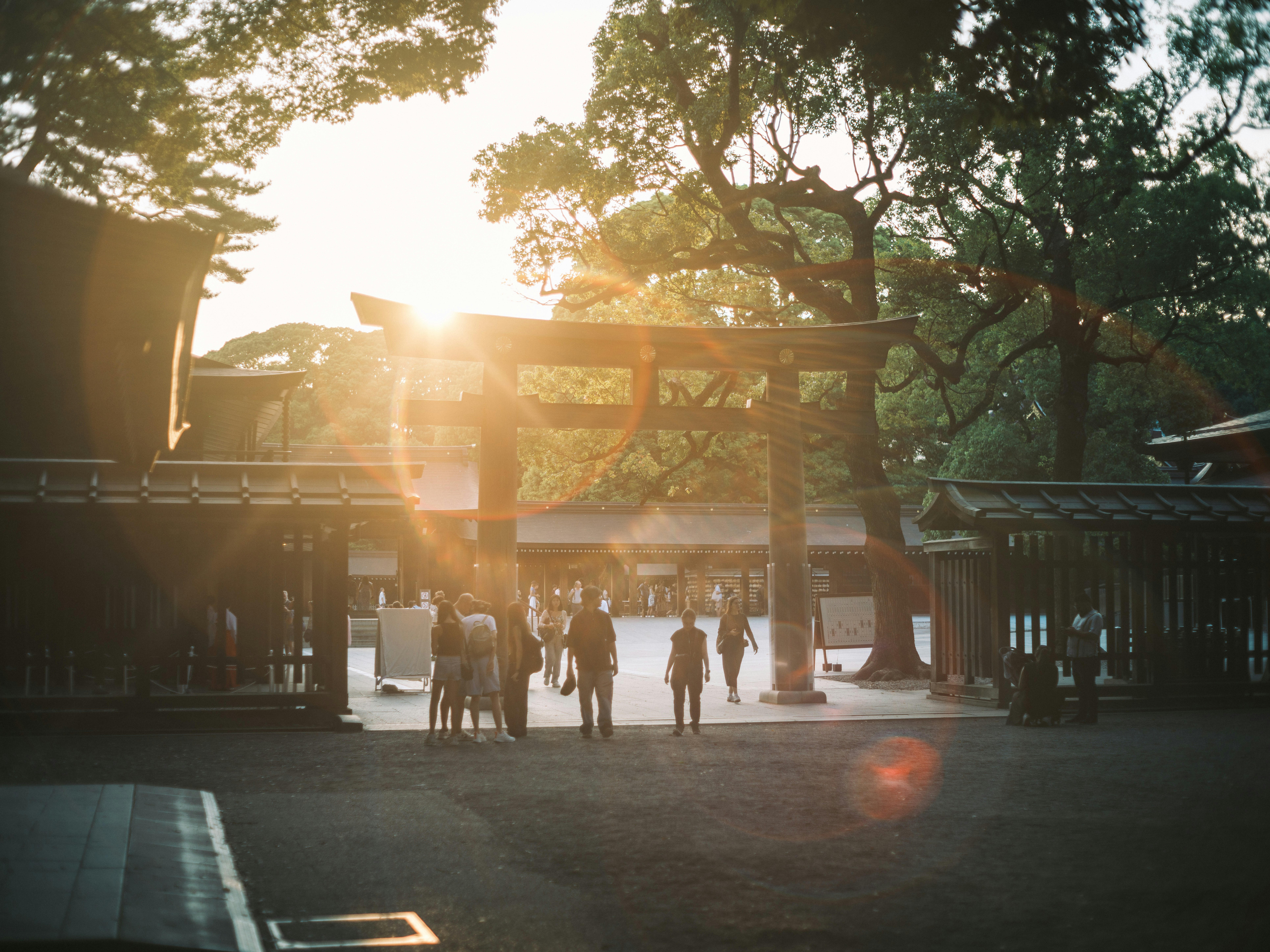 夕日に照らされた神社の参道を歩く人々のシーン