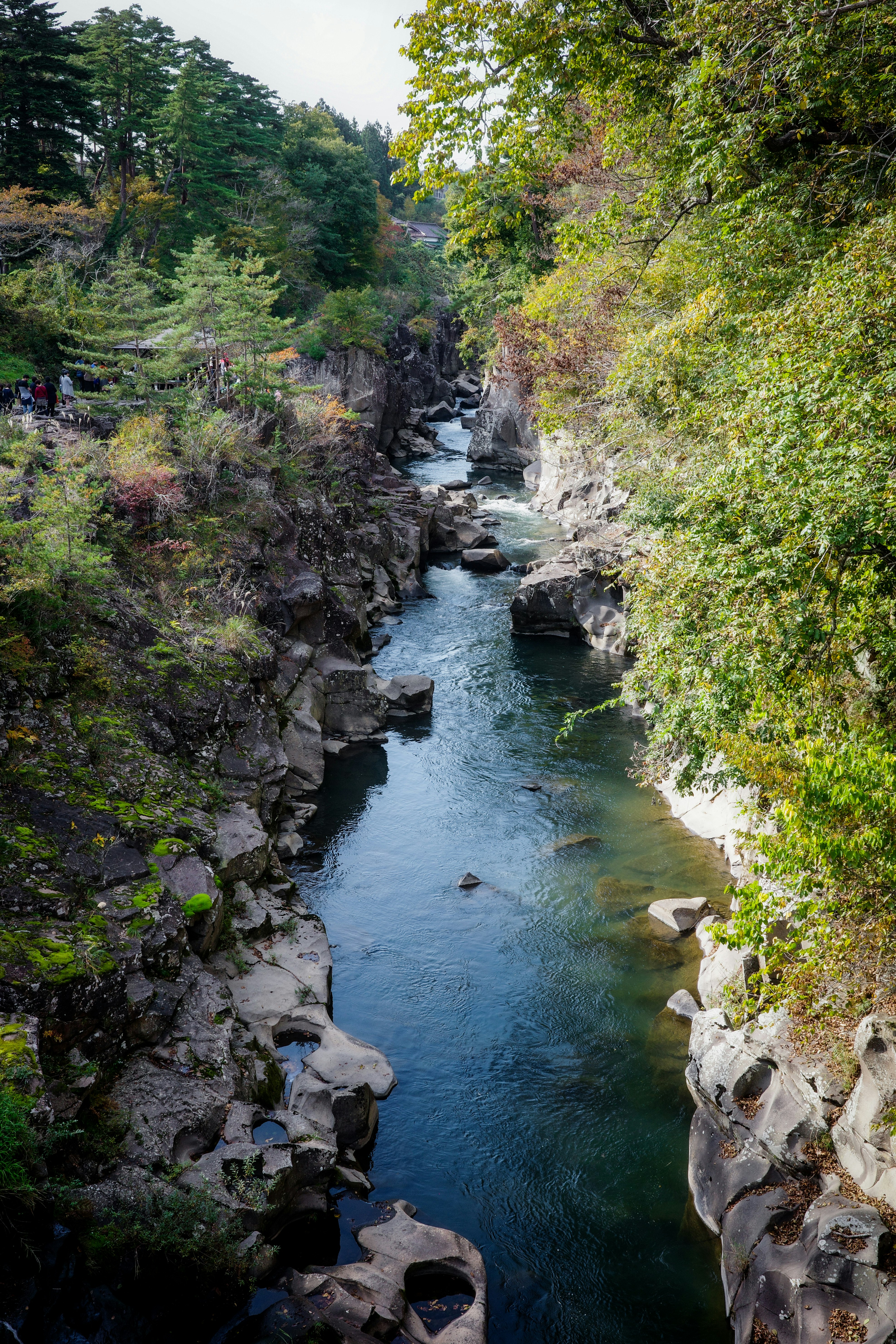 渓谷を流れる川と岩場の自然風景
