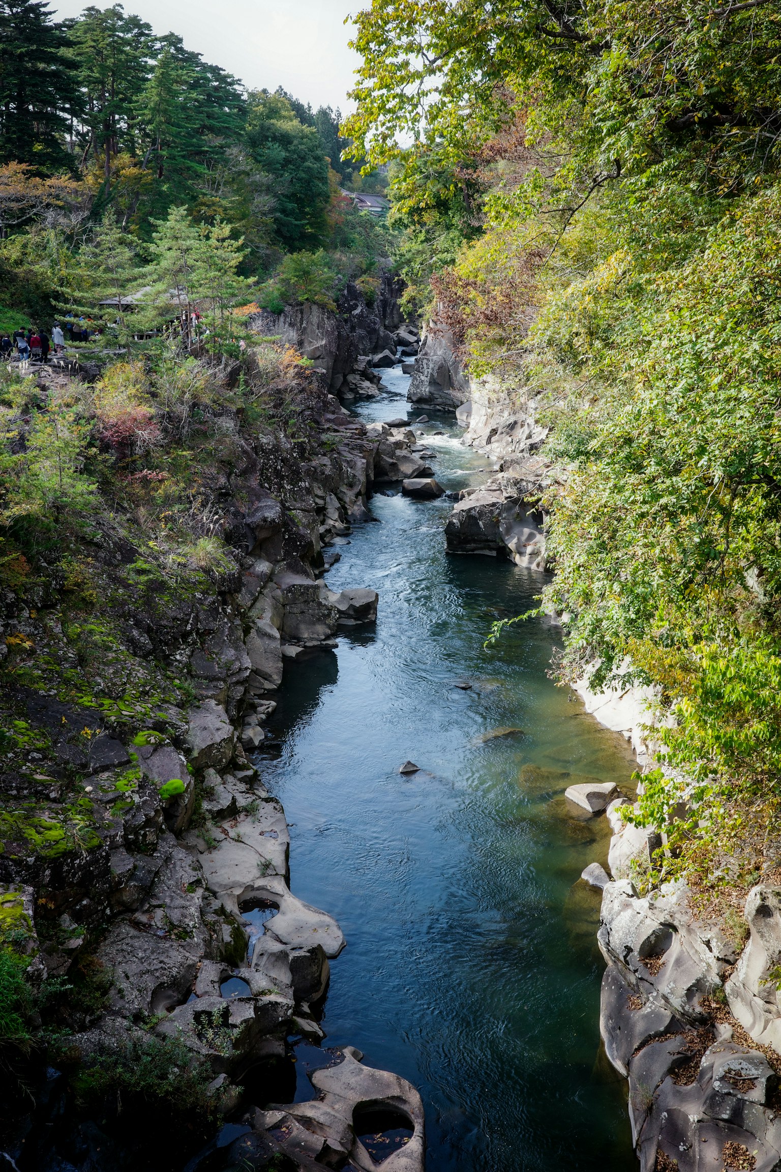 Ein ruhiger Fluss, der zwischen Felsen fließt, umgeben von Grün