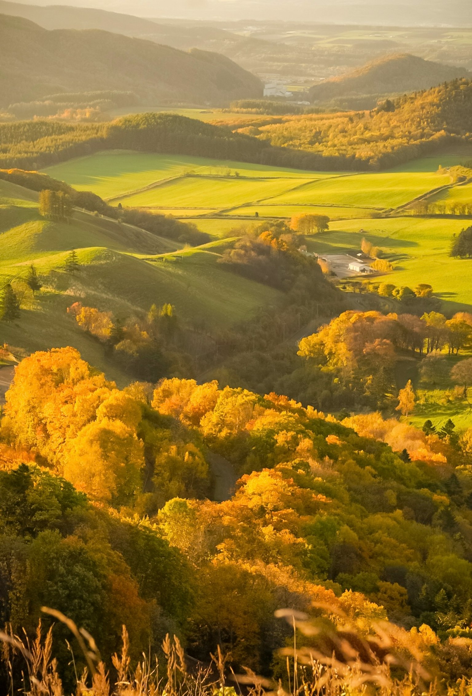 Autumn landscape with rolling hills and vibrant foliage