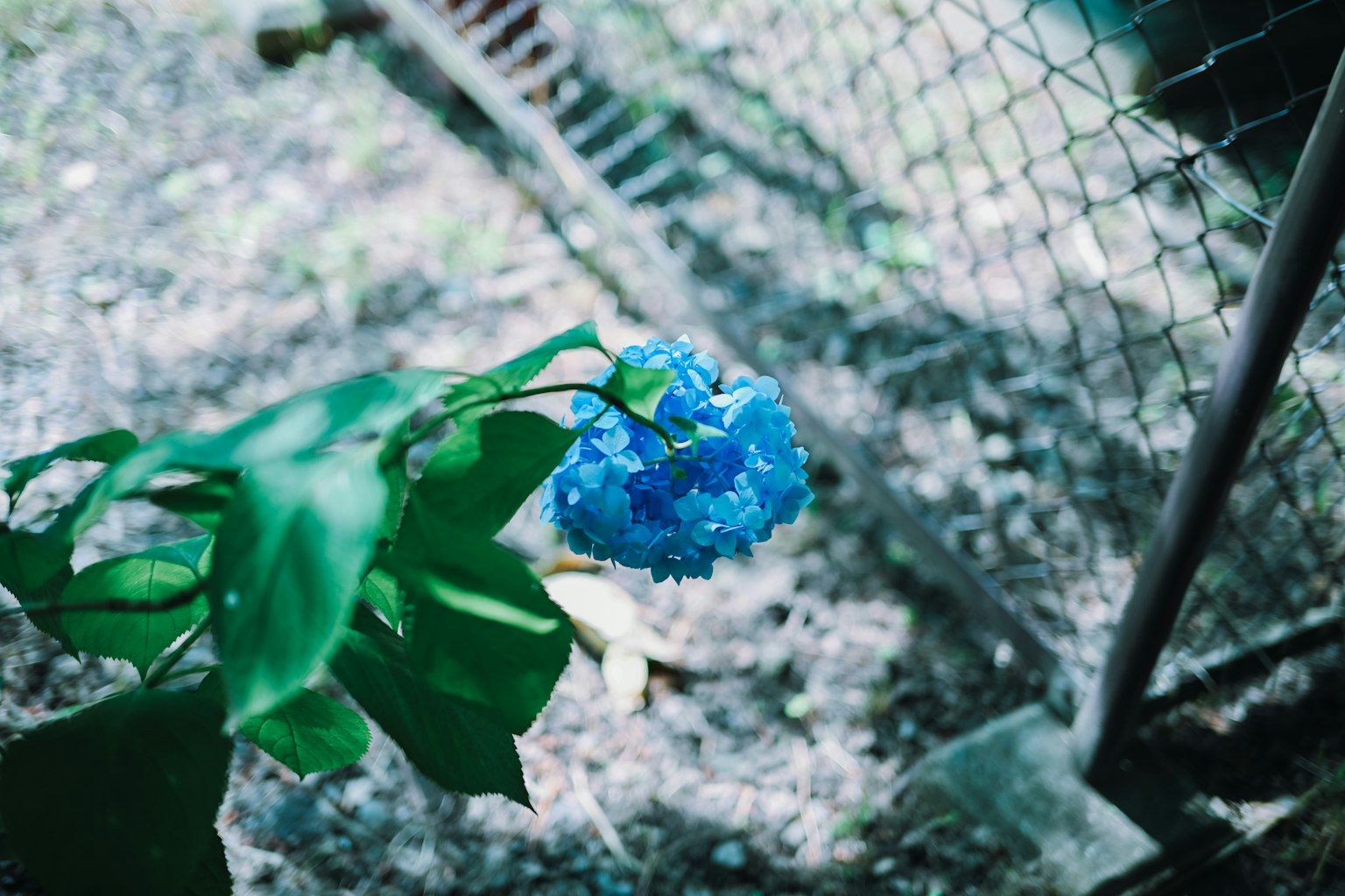 photo-mw1hcj8ZCJJm1yrQ2Io9-image