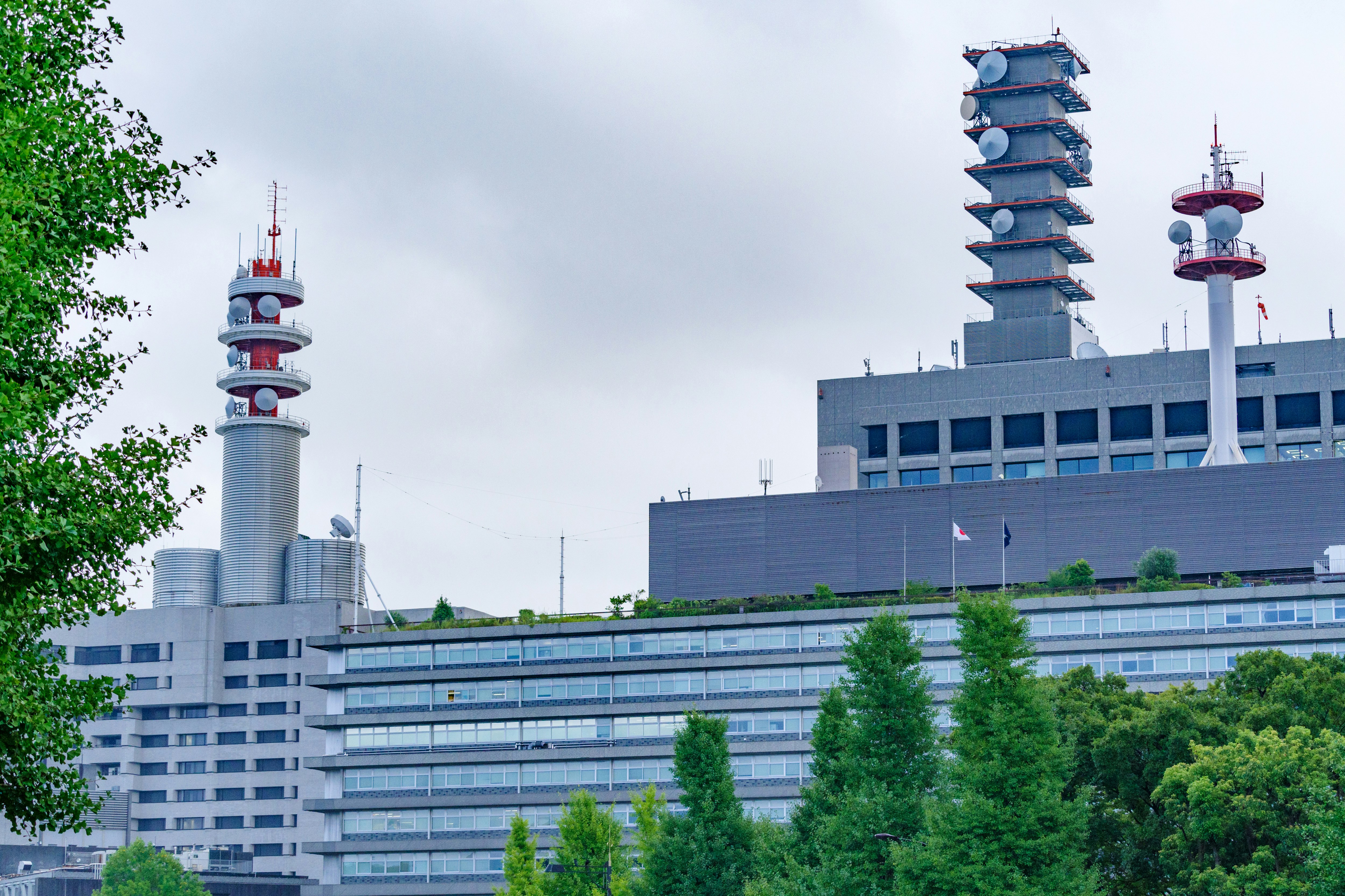 緑の木々と高層の塔が見える建物外観