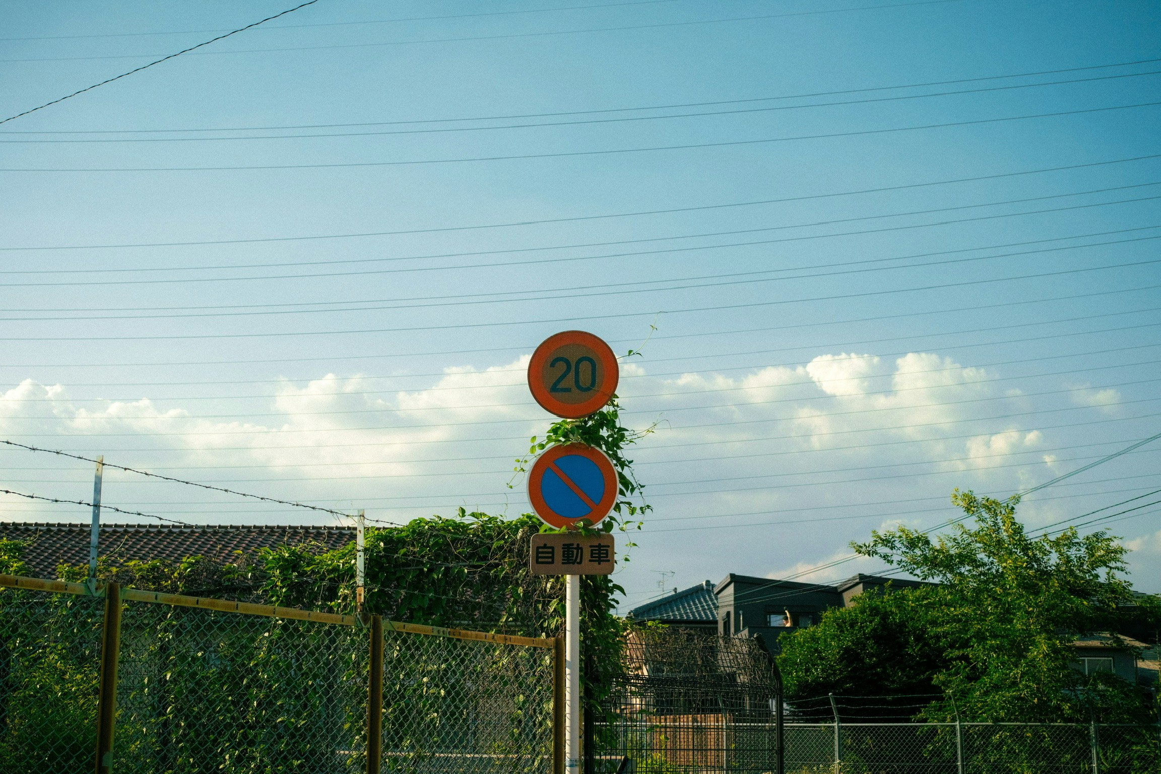 蓝天下的道路标志与围栏