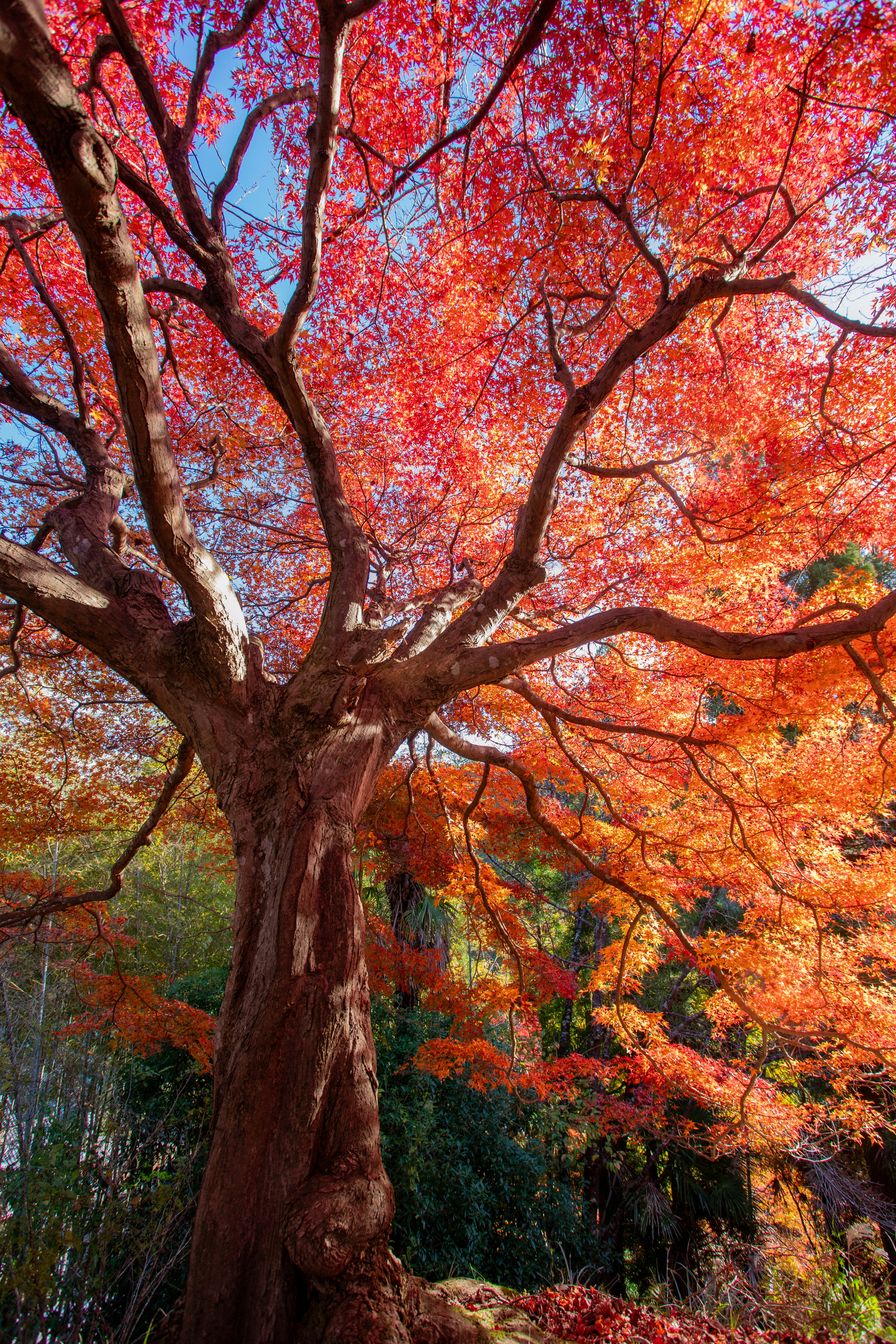 photo-mxoxsq8CeWQtVTihZPf6-image