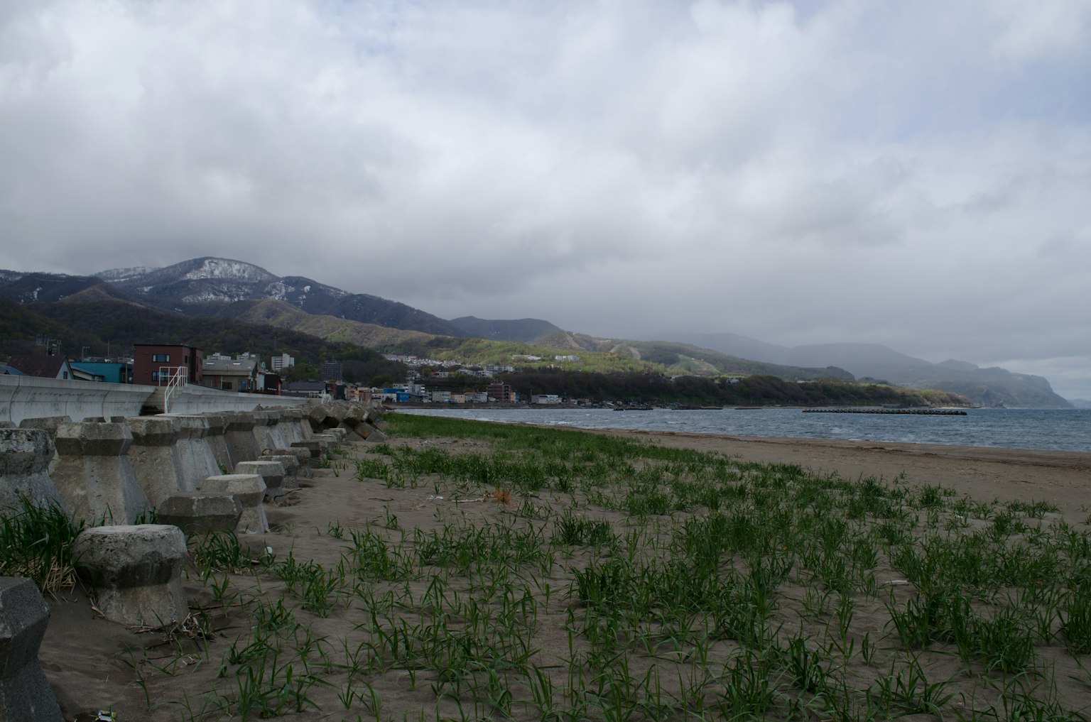 海岸风景，山脉在多云的天空下，沙滩上有草