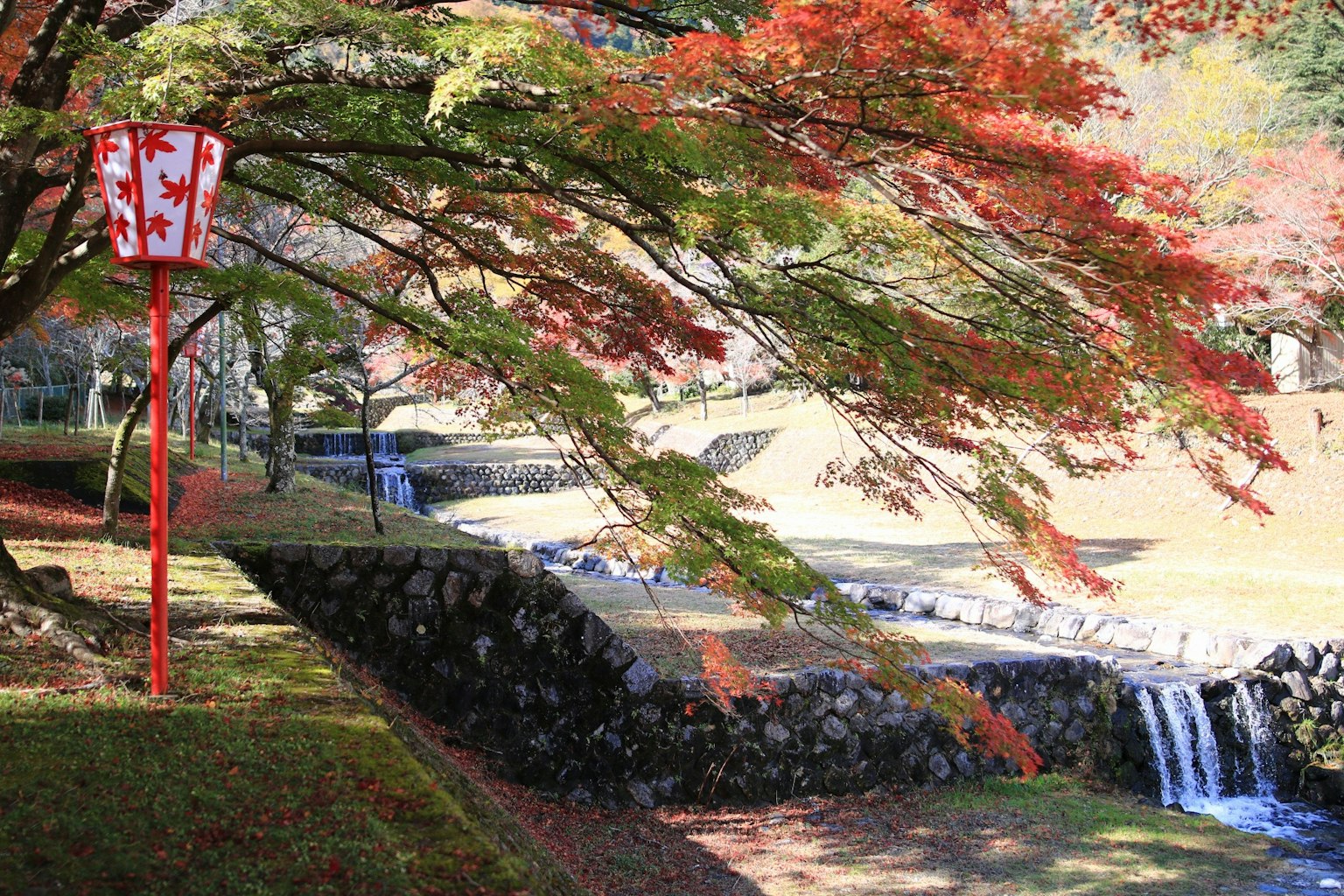Scenic view of vibrant autumn leaves and a stream Red sign adds character