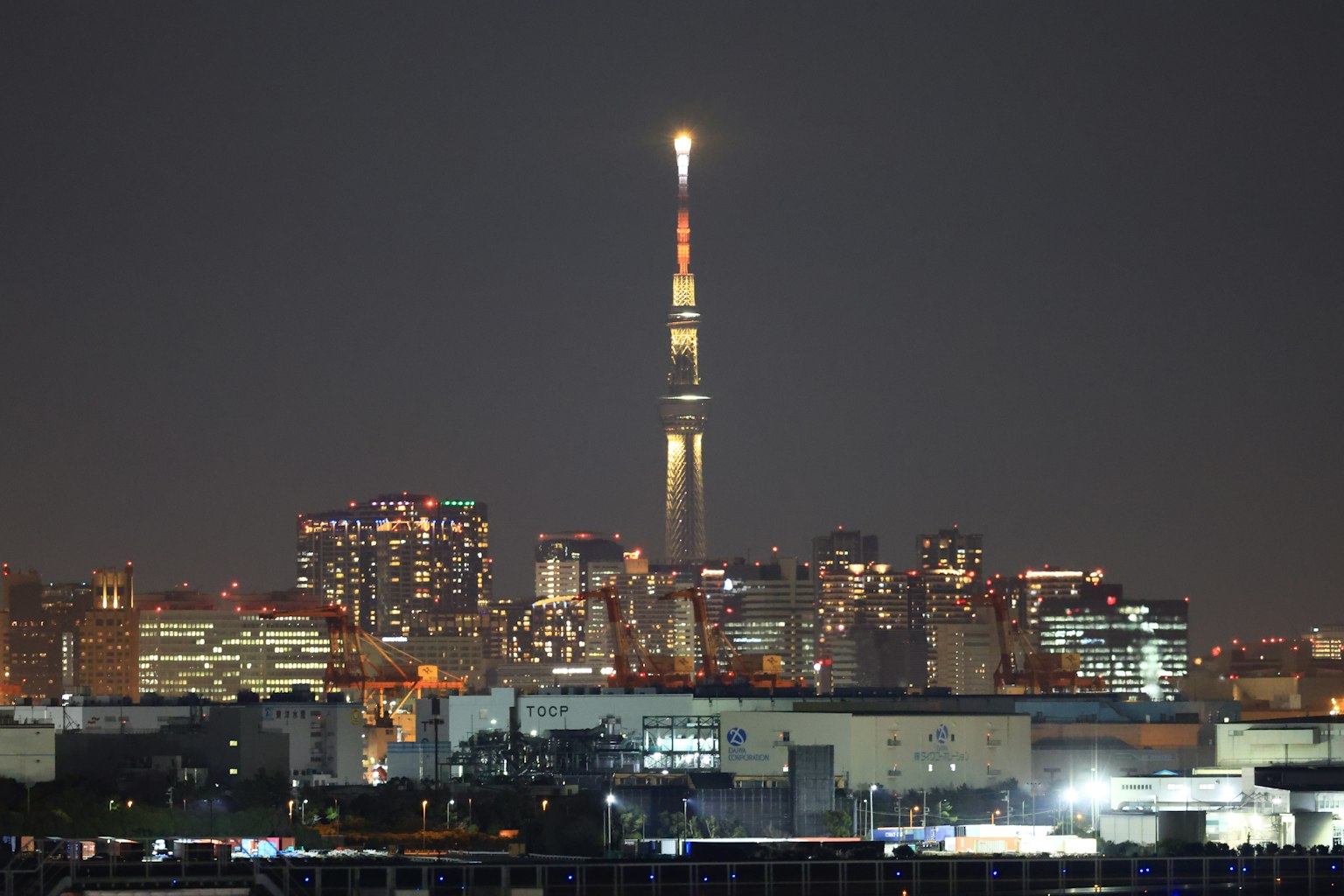 Tokyo Skytree brillando en el horizonte nocturno