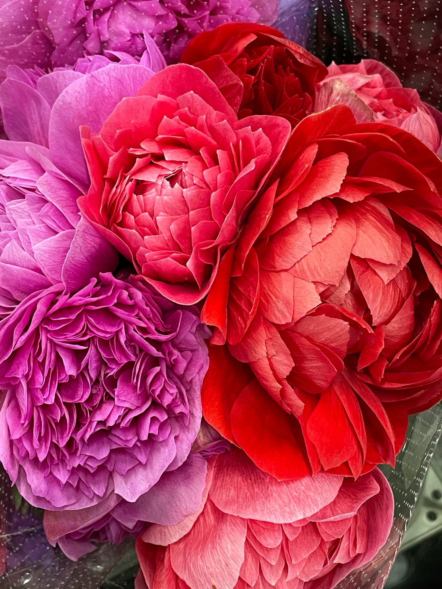 Bouquet coloré avec des pivoines rouges et des fleurs violettes