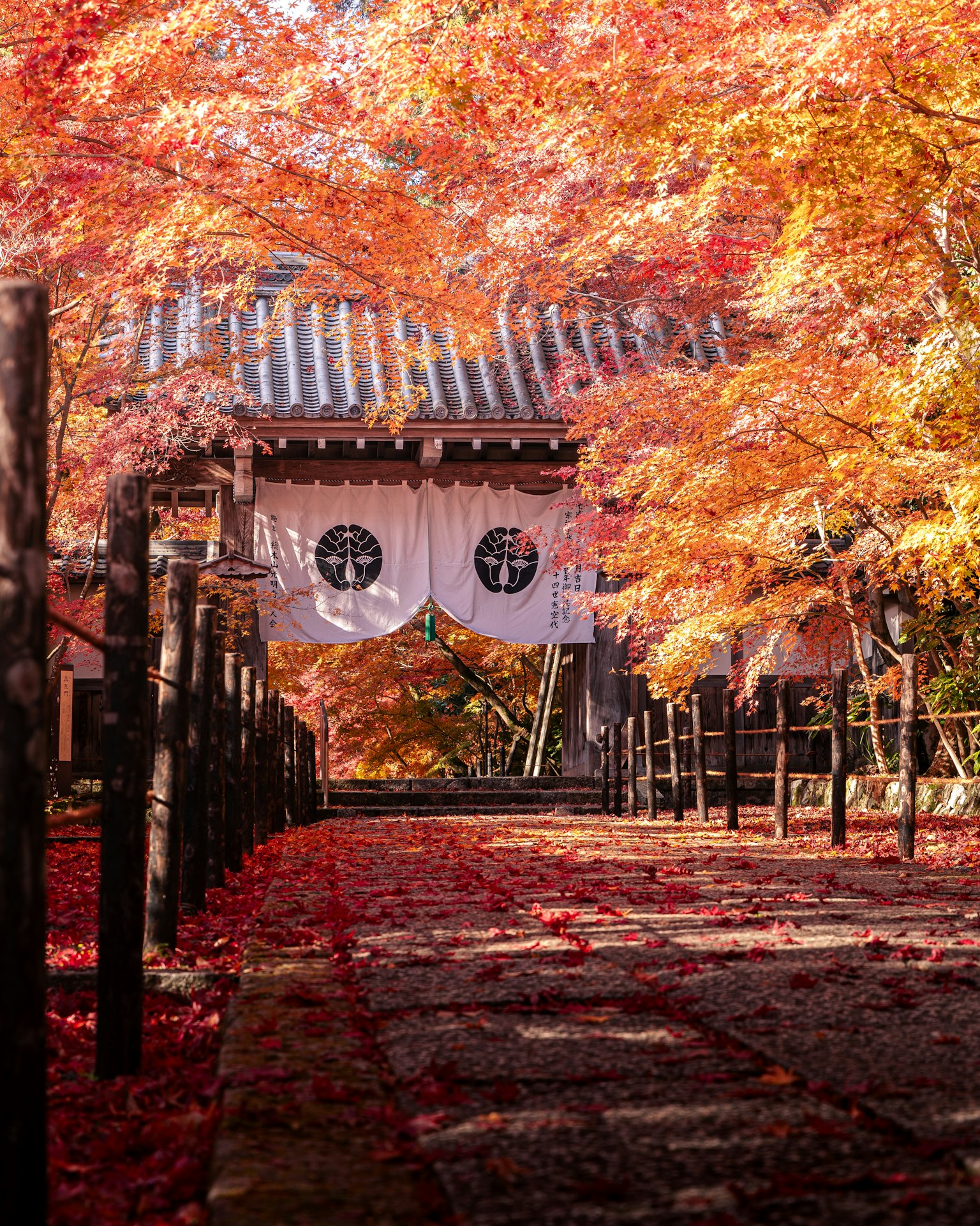 Ingresso di un tempio giapponese circondato da vivace fogliame autunnale