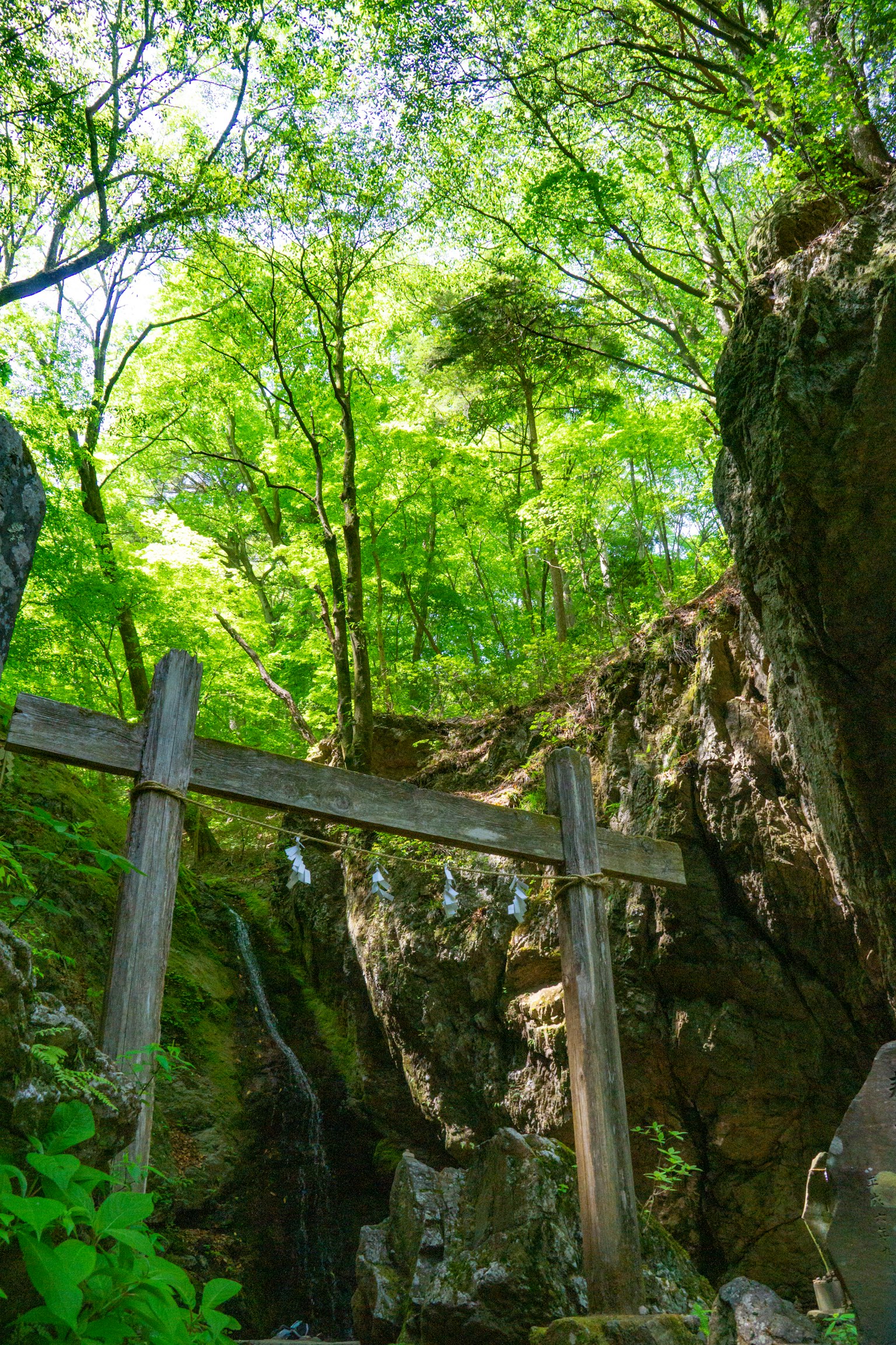 Gerbang torii kayu di antara hutan hijau dan batu